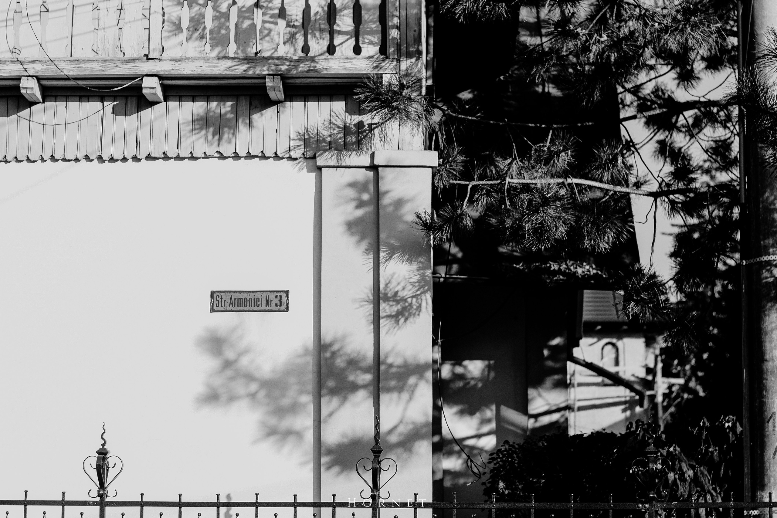 7.02.2025 Ploiesti | Romania. Hornetart