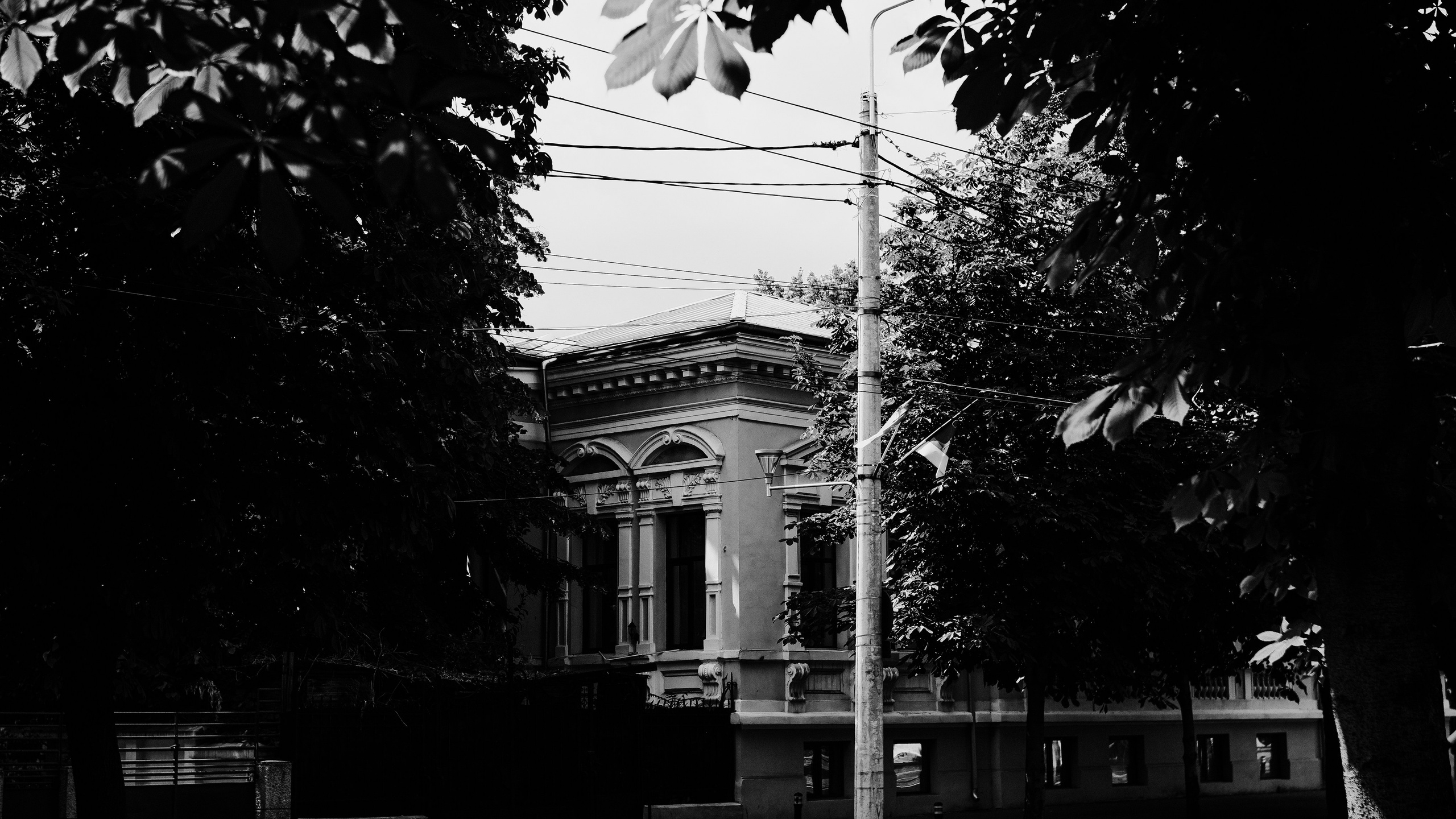 21.06.2025 Ploiesti | Romania. Hornetart