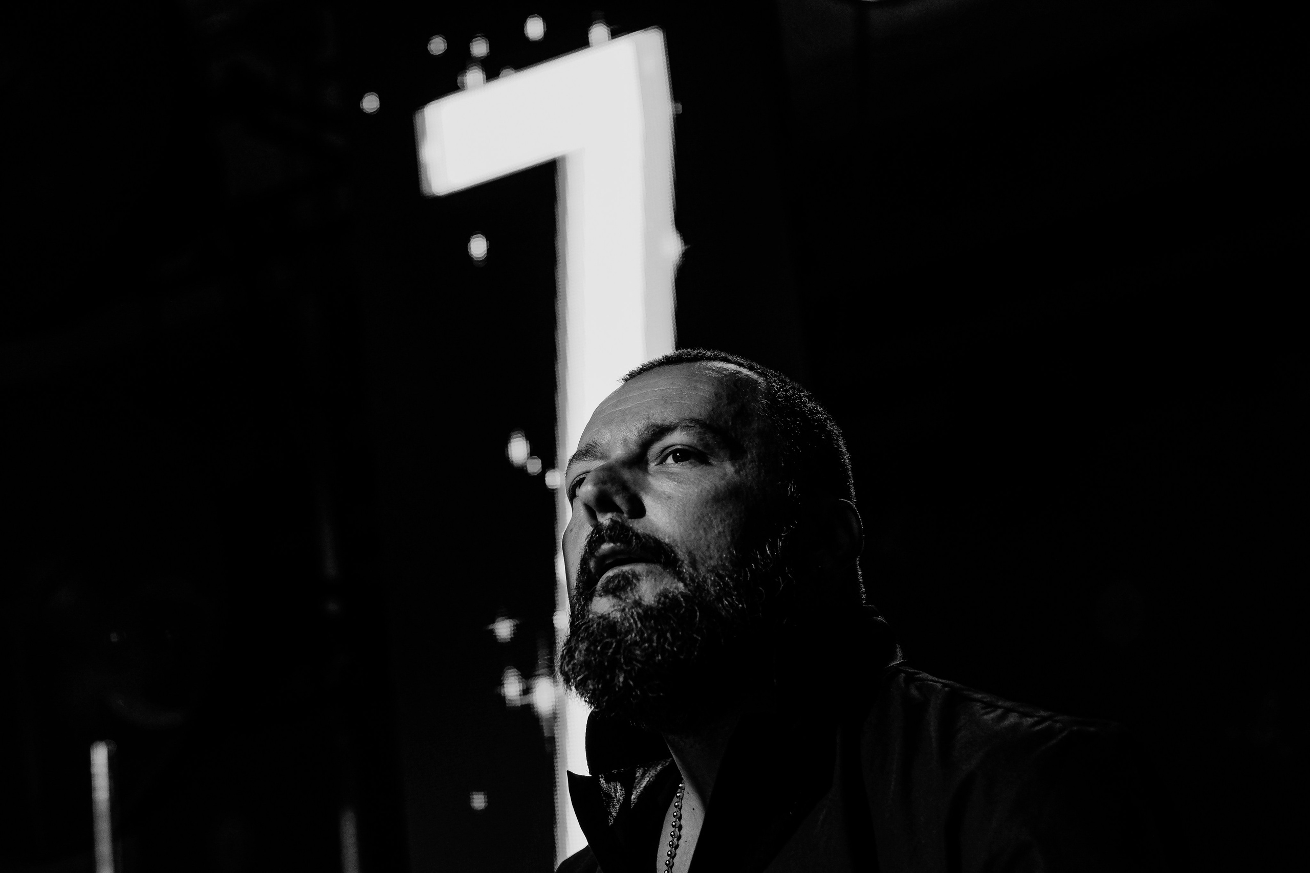 Laurentiu Stefan. Hornetart