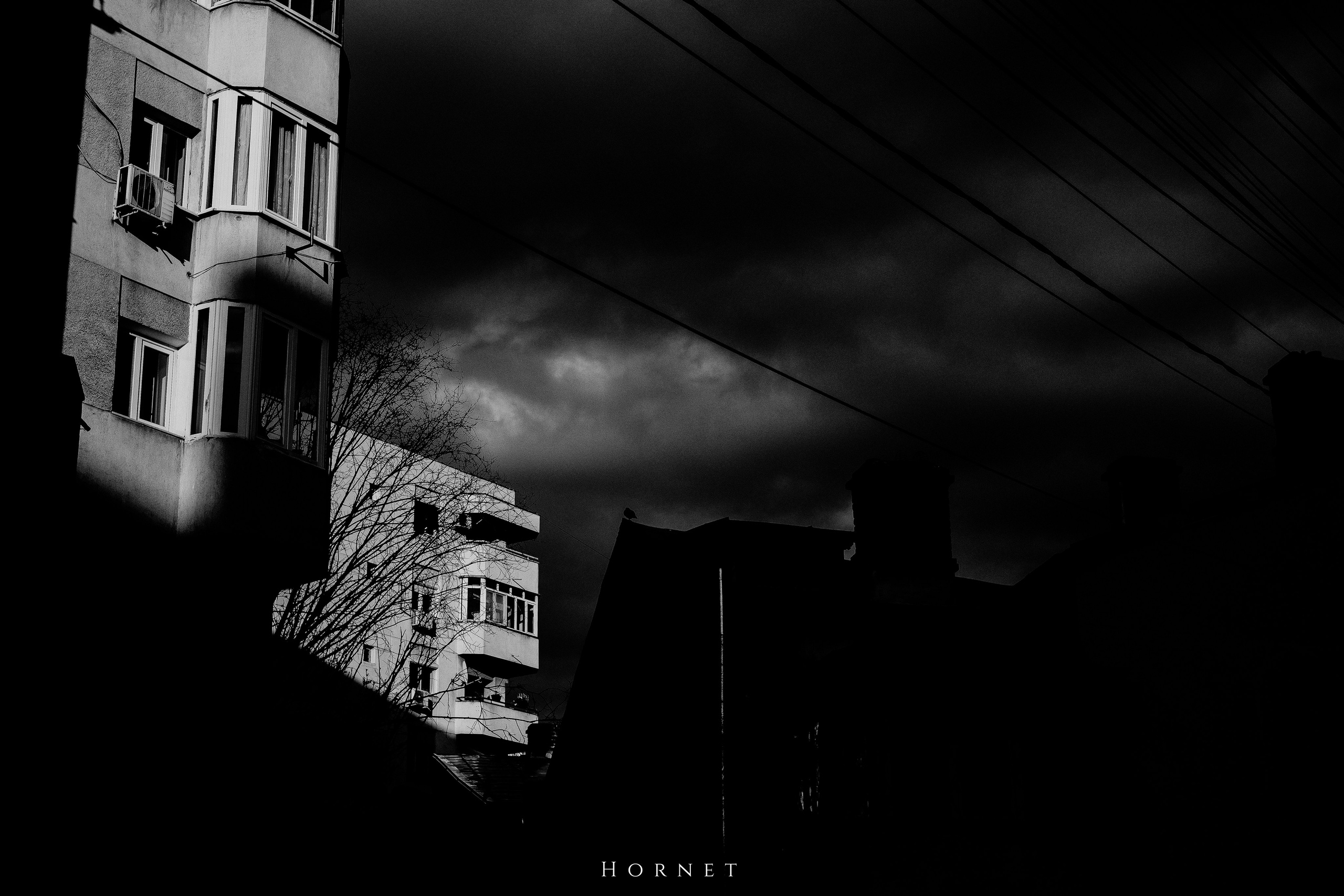 12.04.2025 Ploiesti | Romania. Hornetart