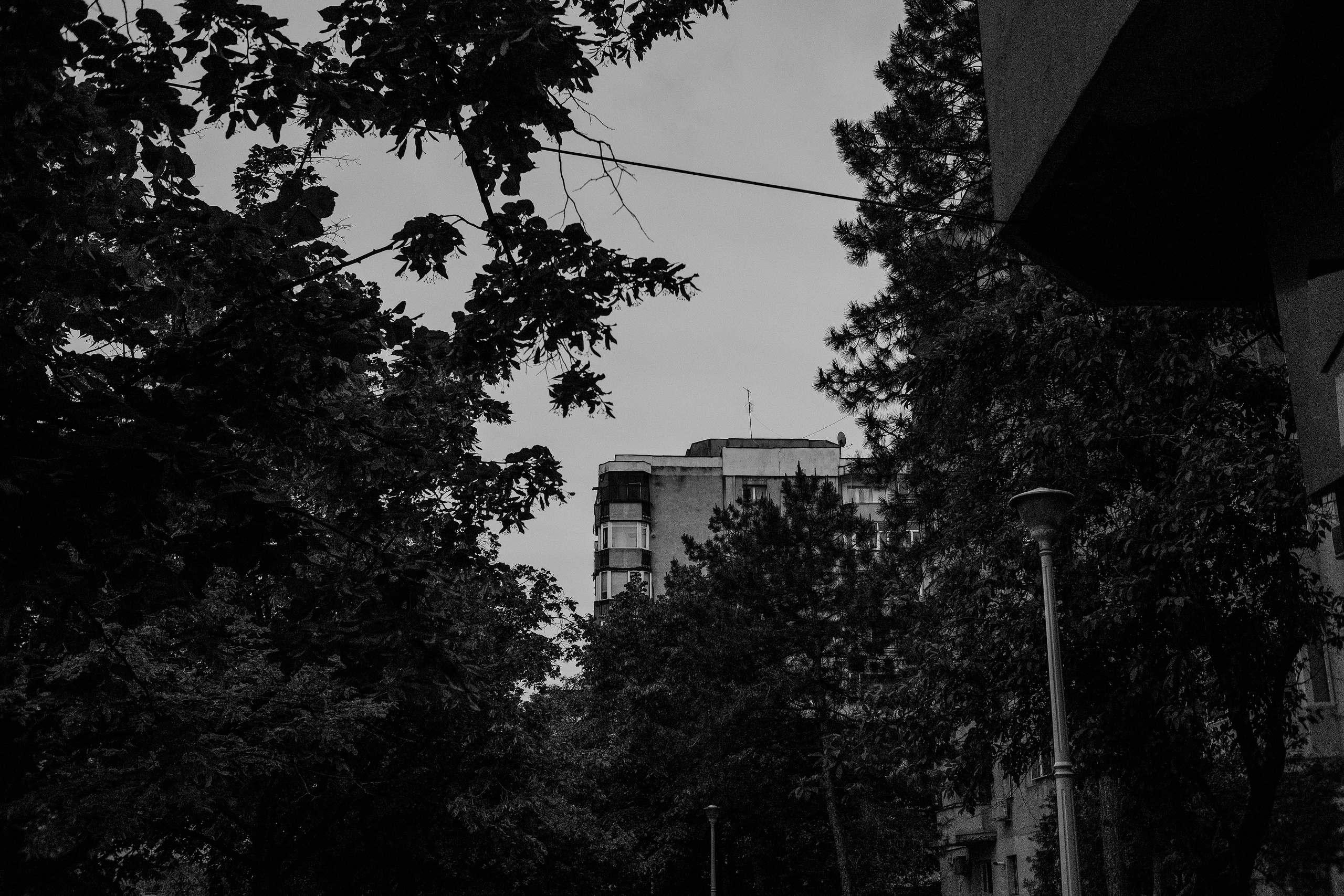 10.05.2025 Ploiesti | Romania. Hornetart