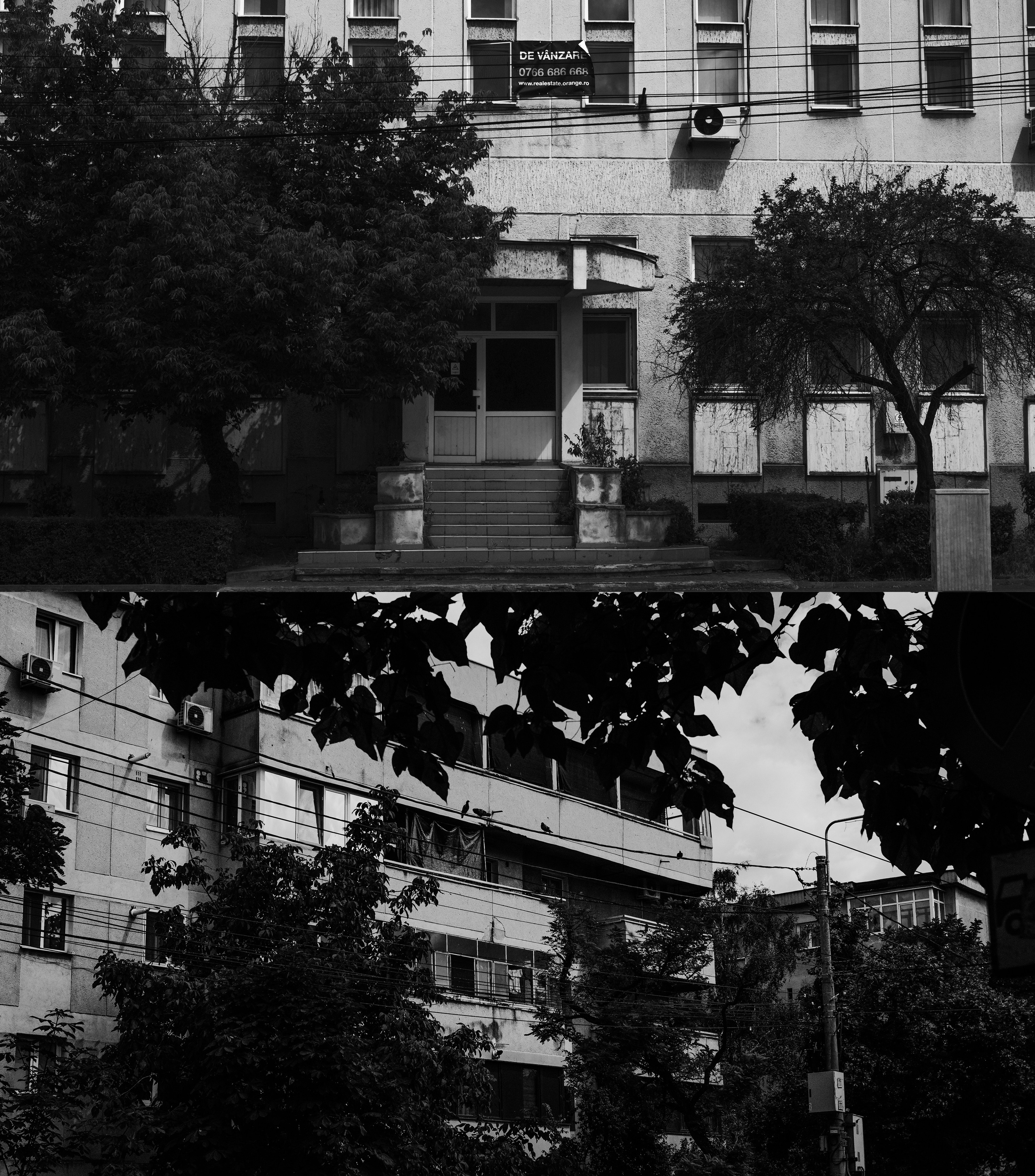 21.06.2025 Ploiesti | Romania. Hornetart
