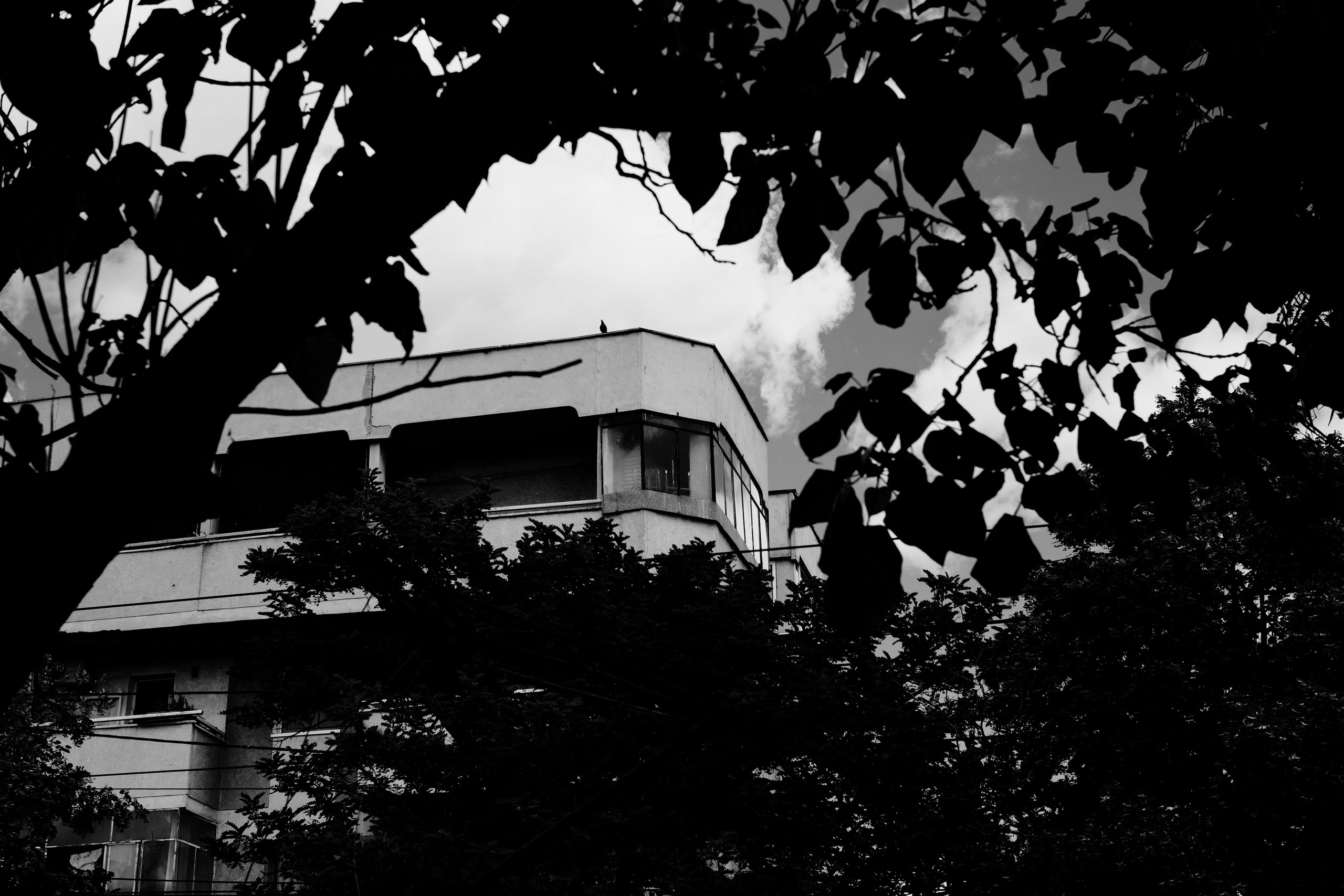 21.06.2025 Ploiesti | Romania. Hornetart