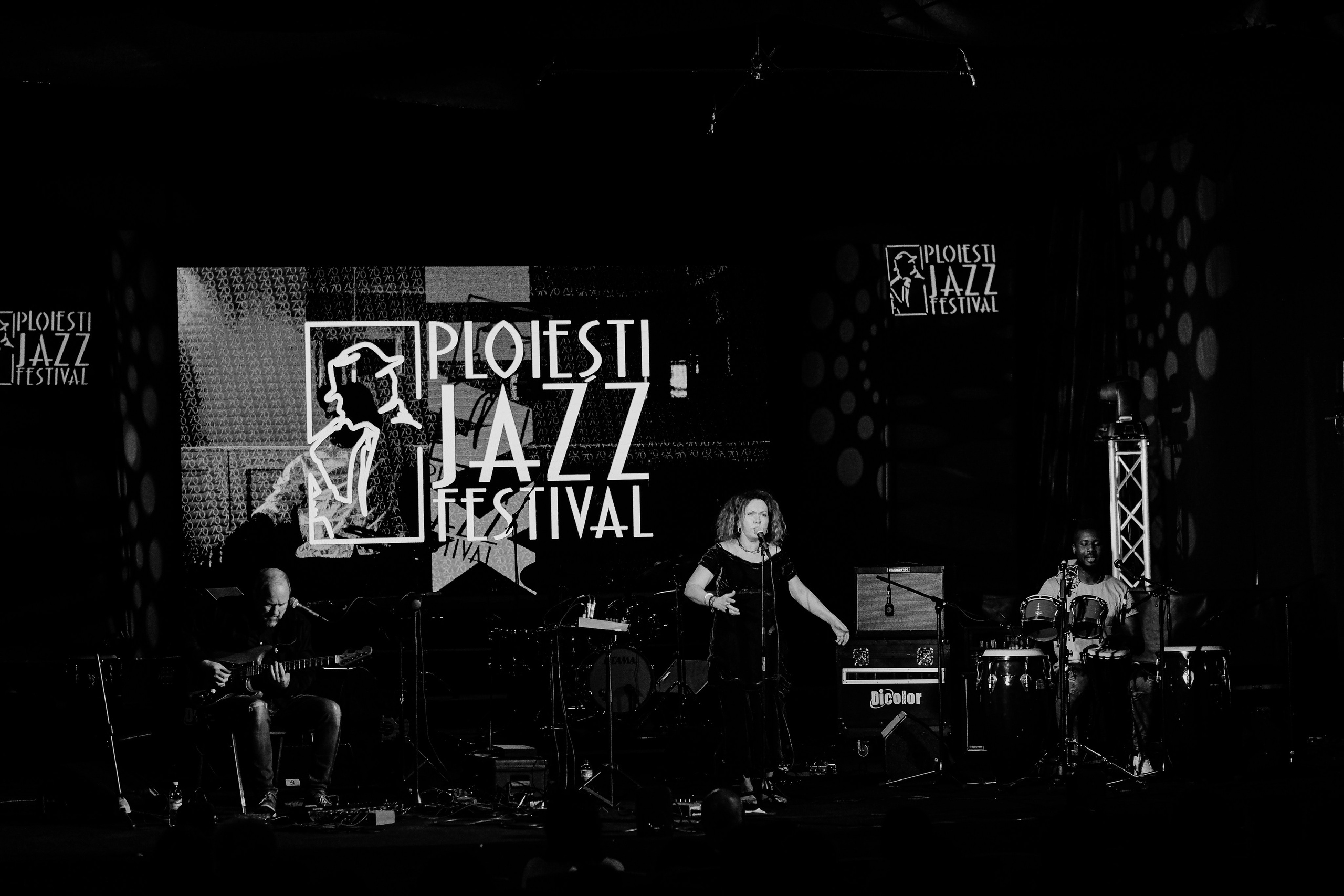 Kristin Asbjornsen Trio. Hornetart