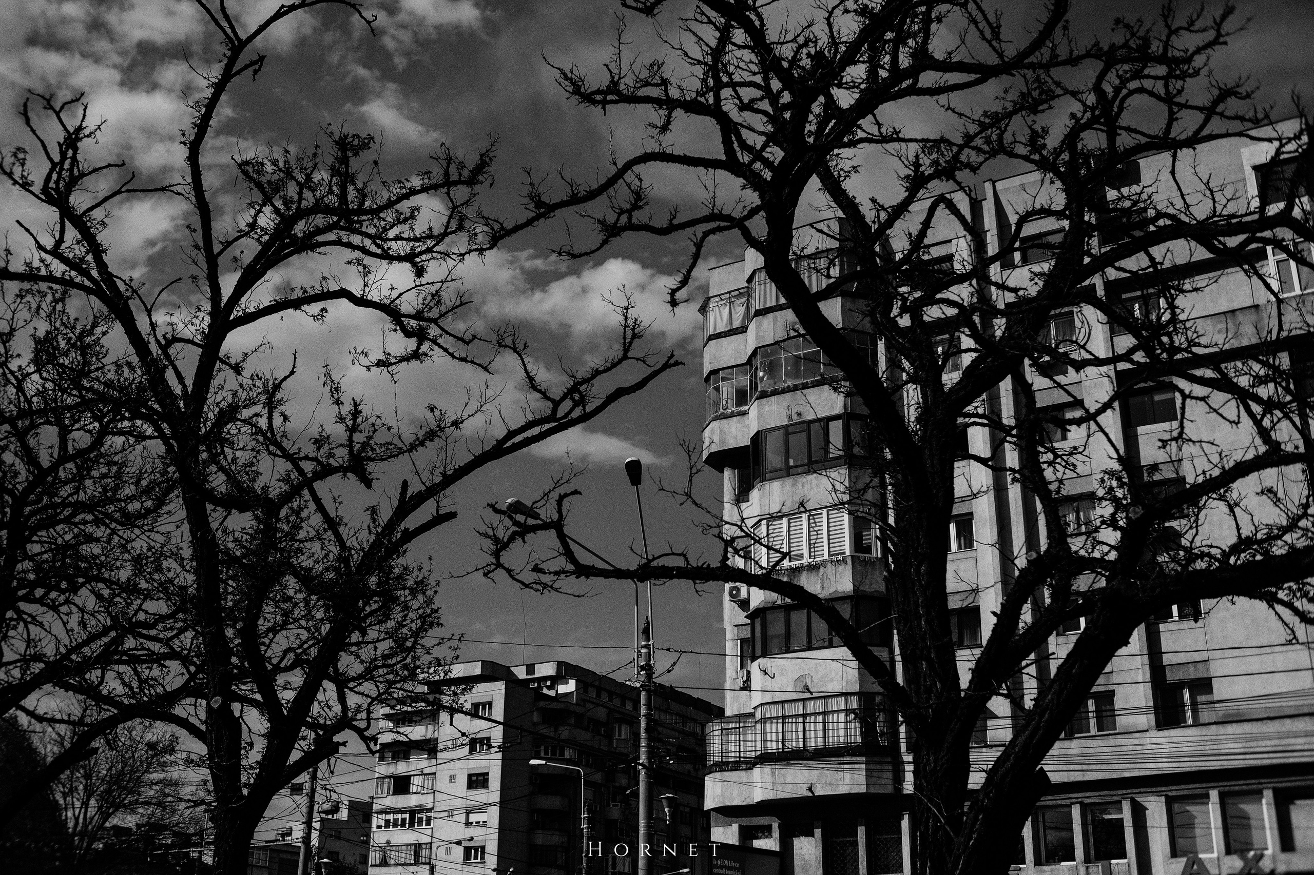 21.04.2025 Ploiesti | Romania. Hornetart