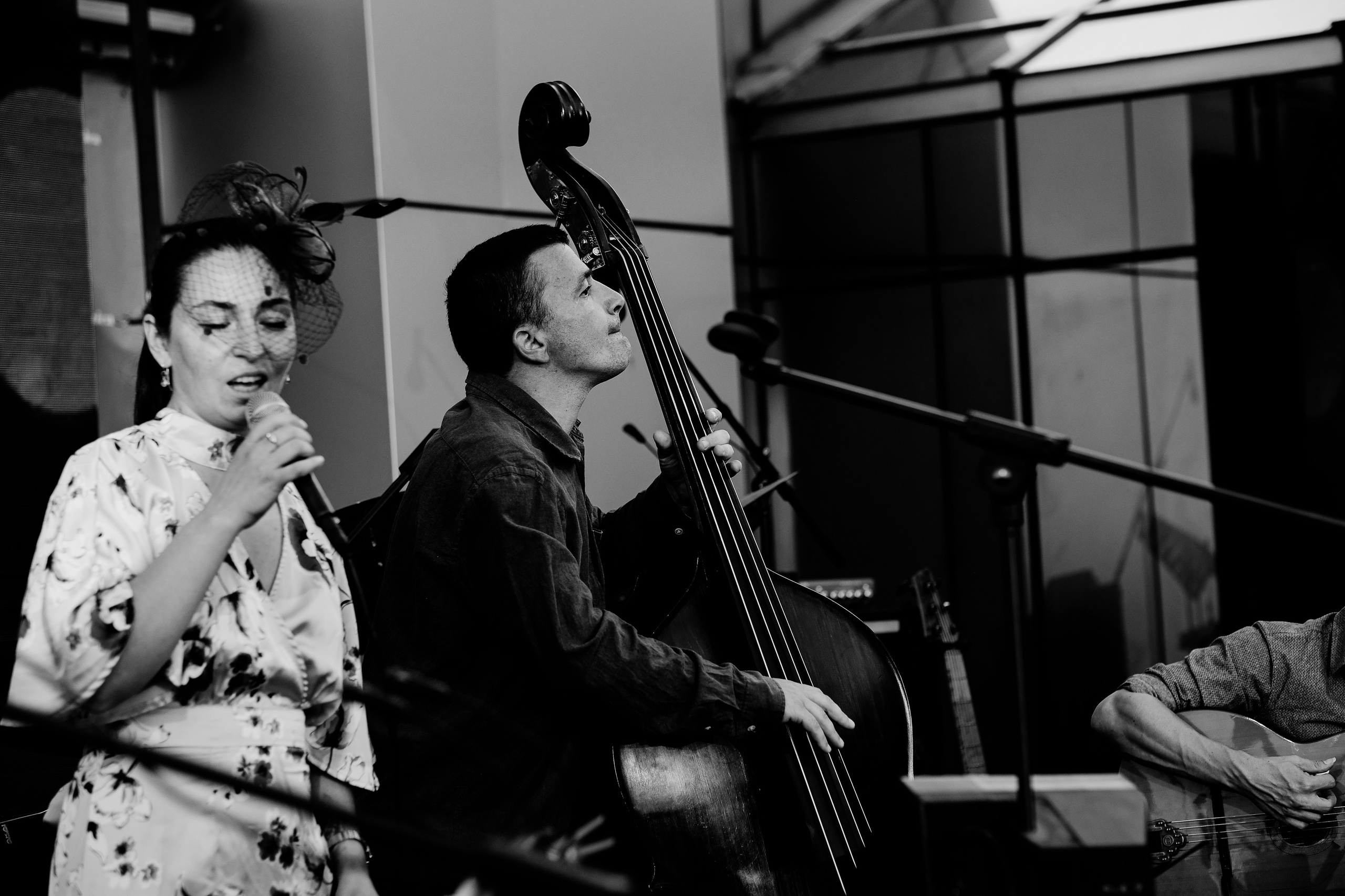 Luiza Zan & Jazzpar Trio. Hornetart