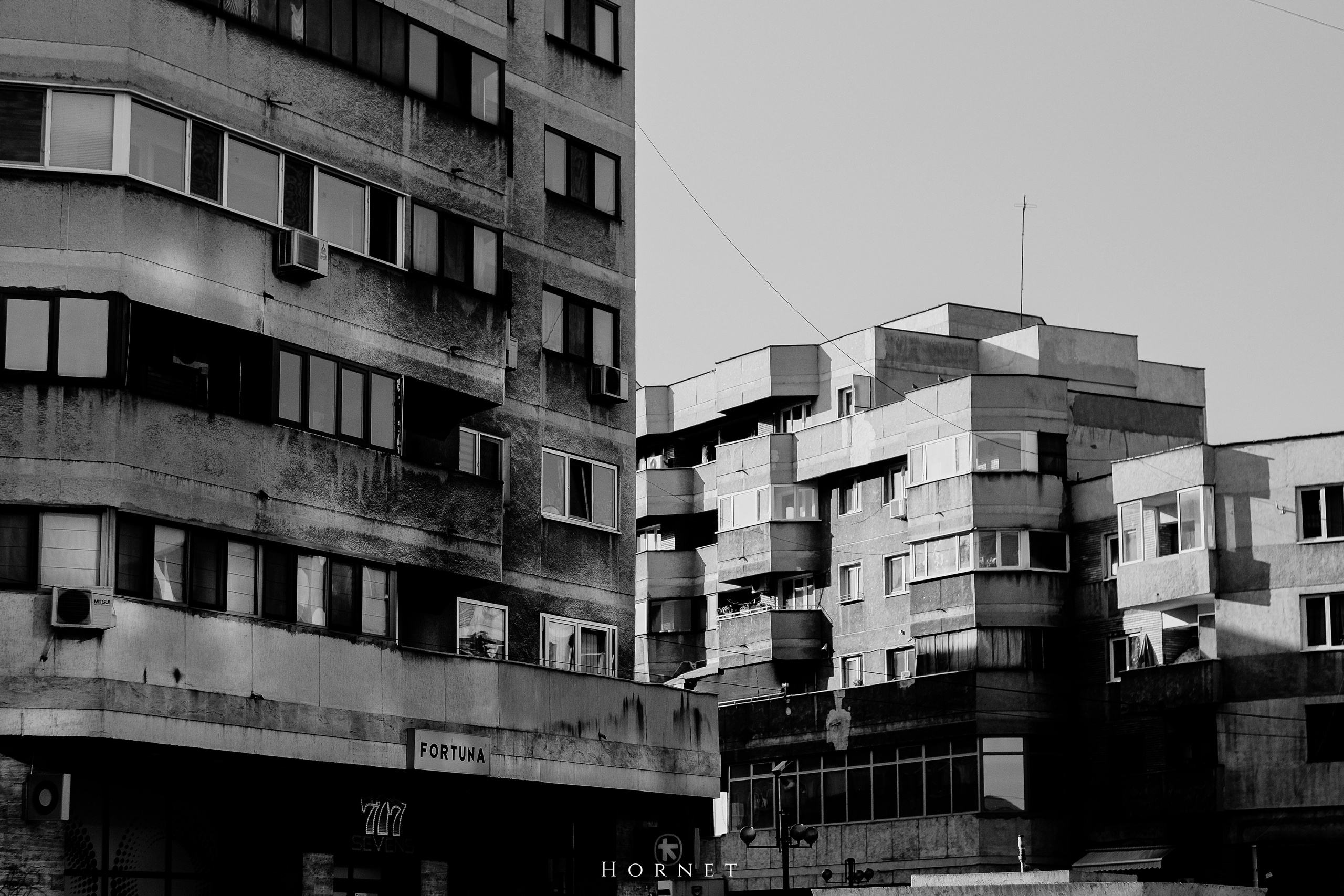 7.02.2025 Ploiesti | Romania. Hornetart