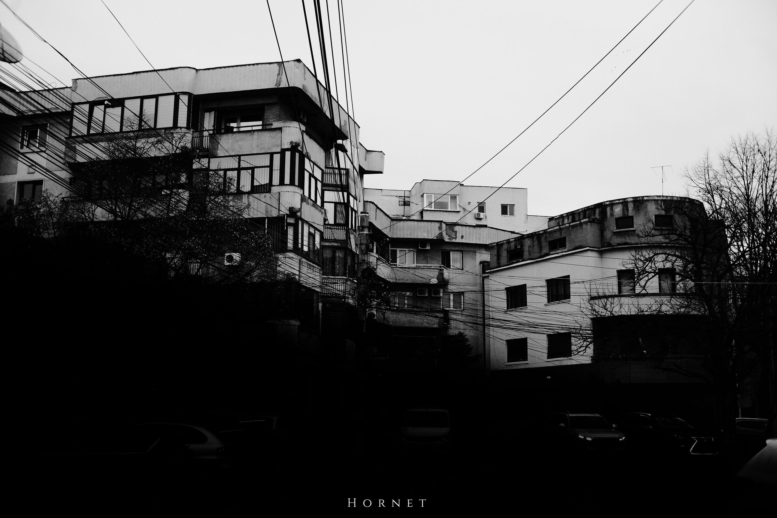 7.01.2025 Ploiesti | Romania. Hornetart