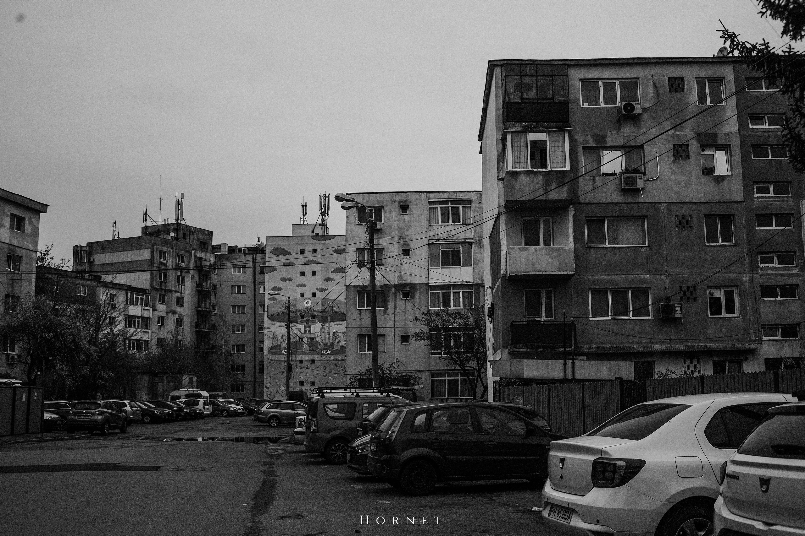 29.03.2025 Ploiesti | Romania. Hornetart