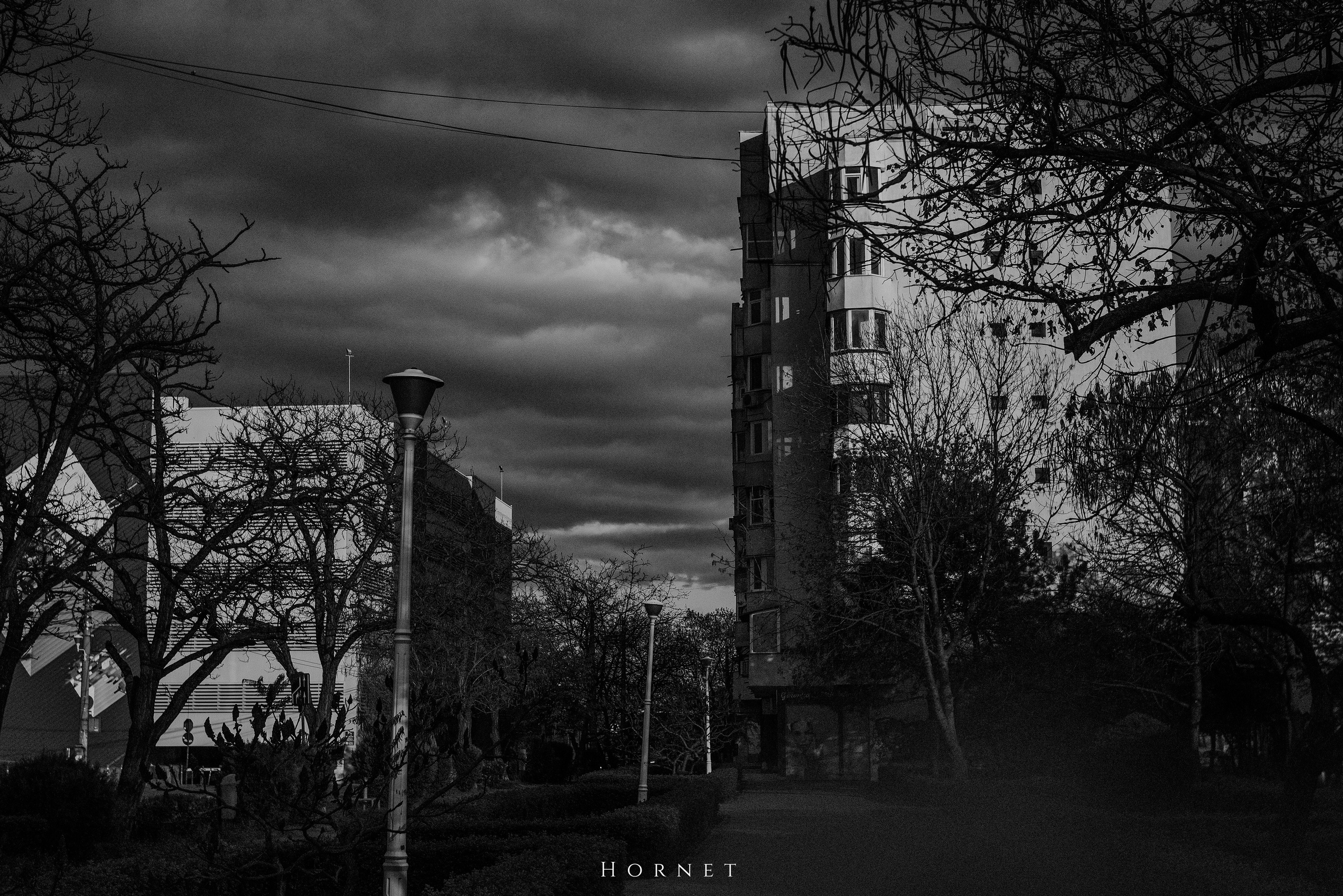 12.04.2025 Ploiesti | Romania. Hornetart