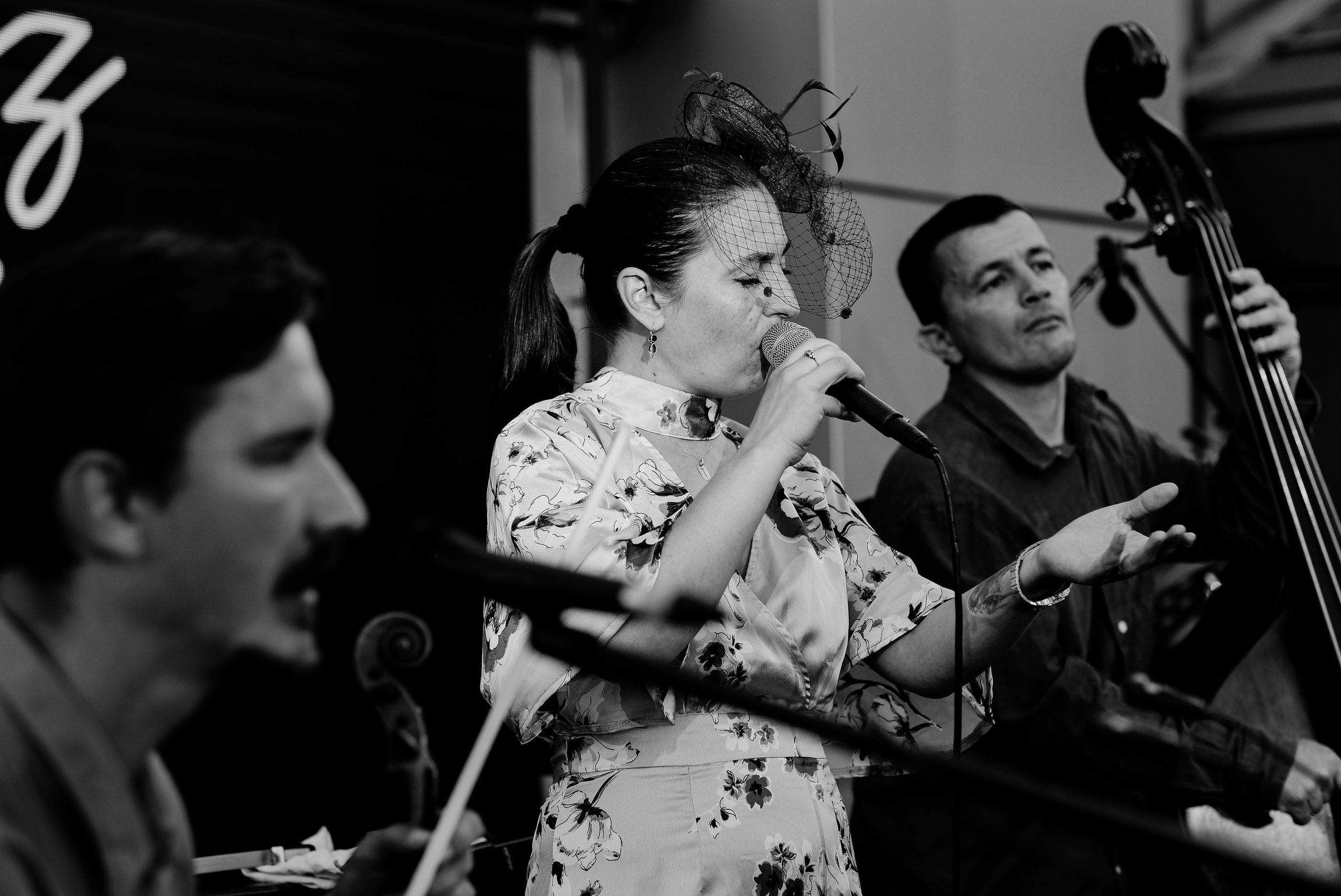 Luiza Zan & Jazzpar Trio. Hornetart
