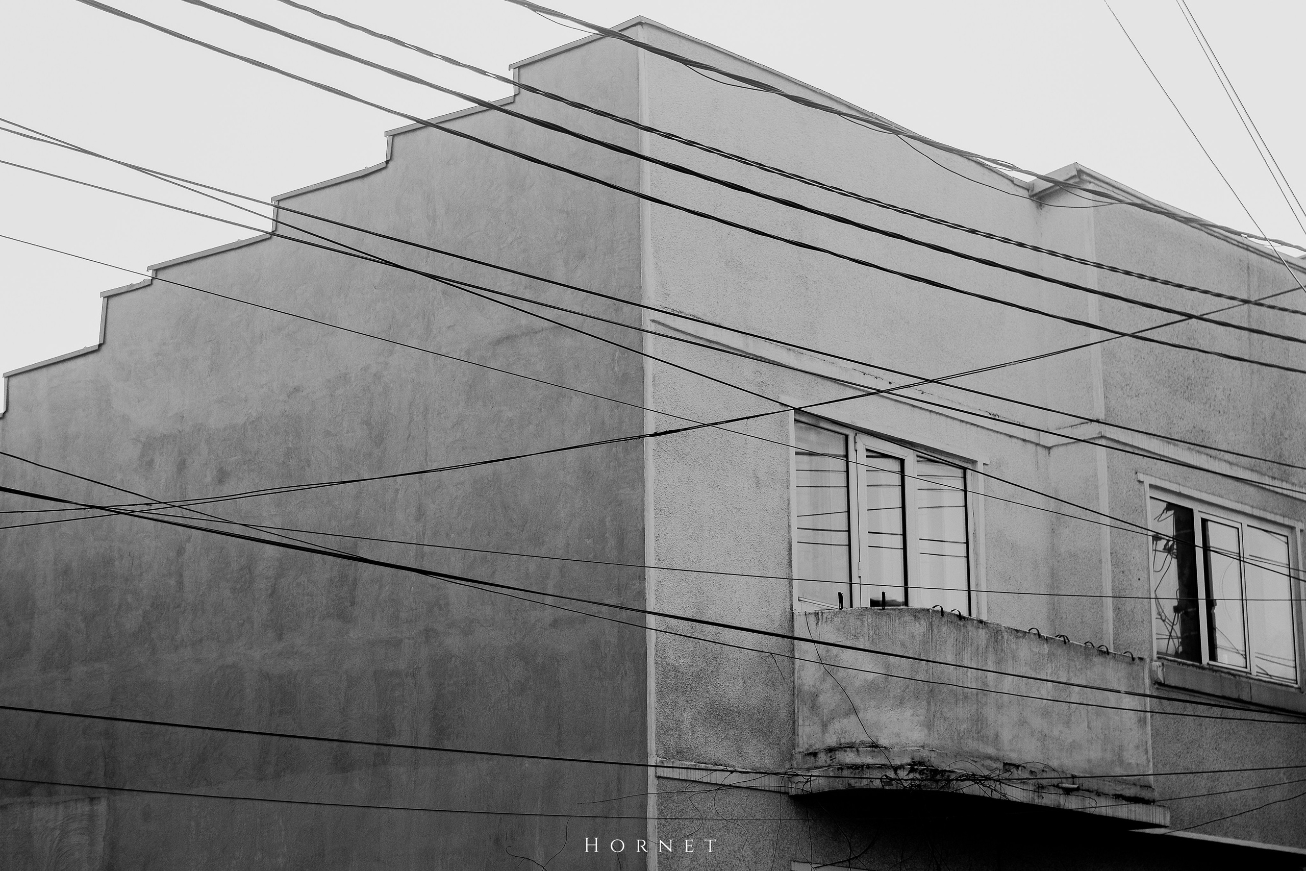 7.02.2025 Ploiesti | Romania. Hornetart