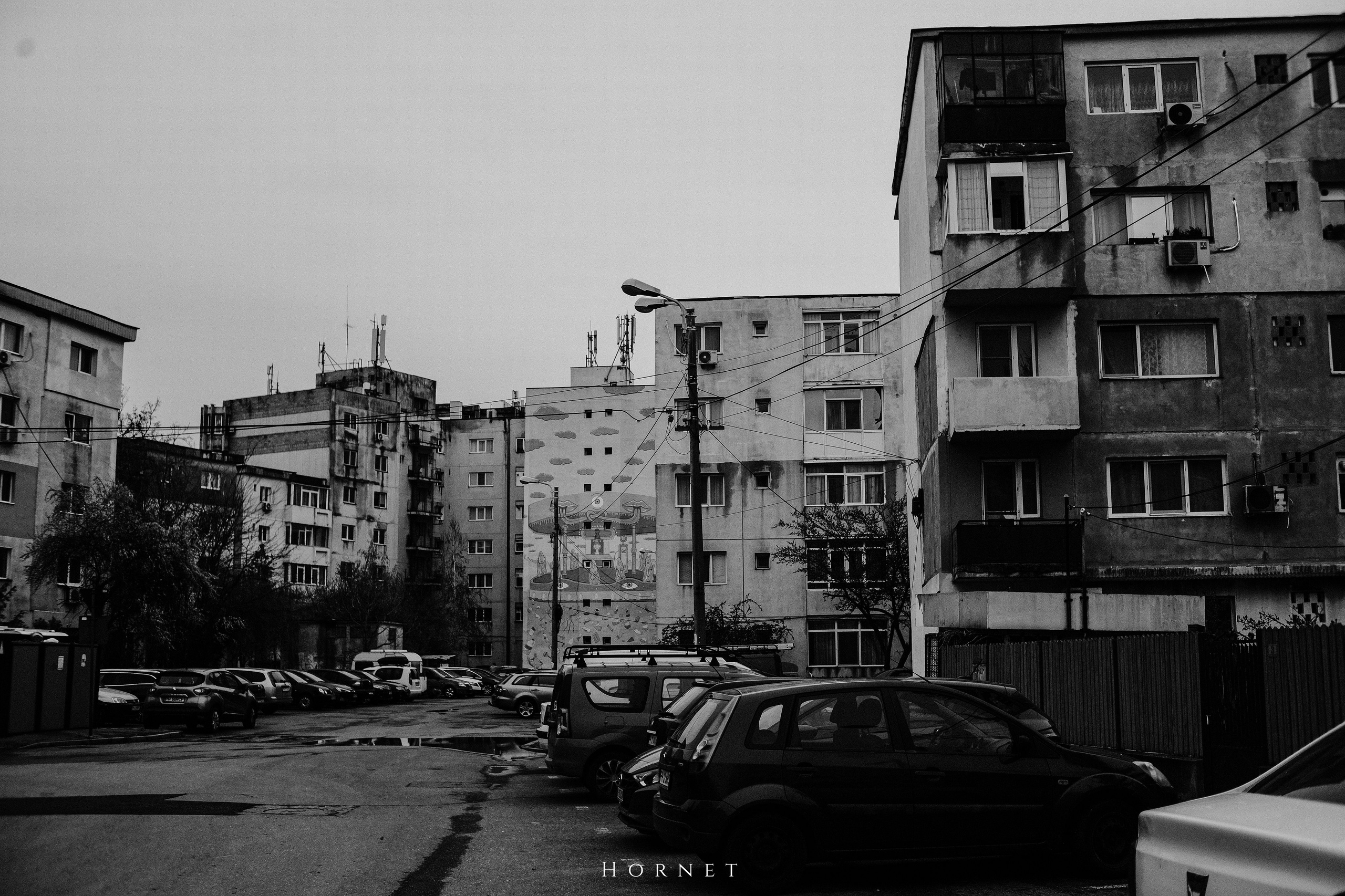 29.03.2025 Ploiesti | Romania. Hornetart