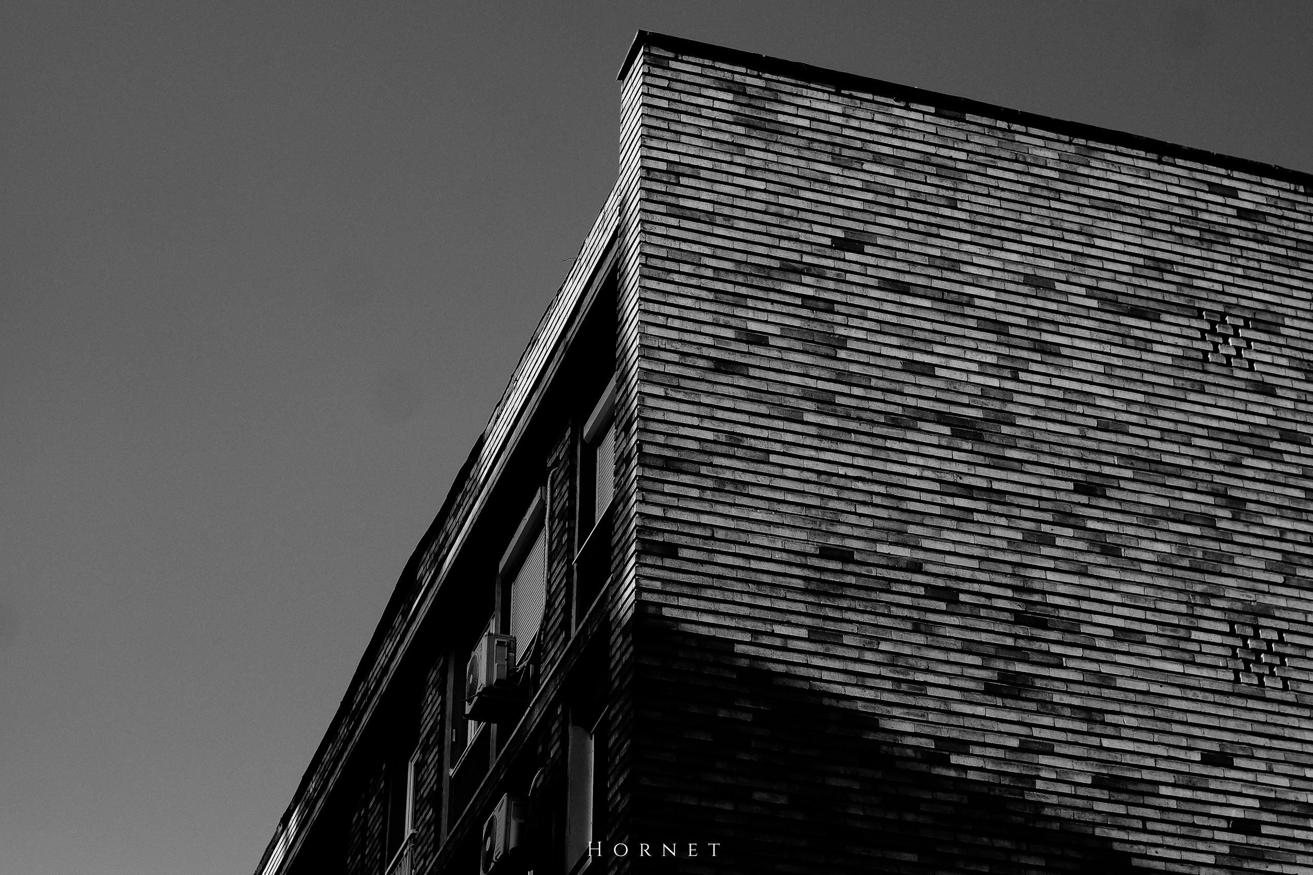 7.02.2025 Ploiesti | Romania. Hornetart
