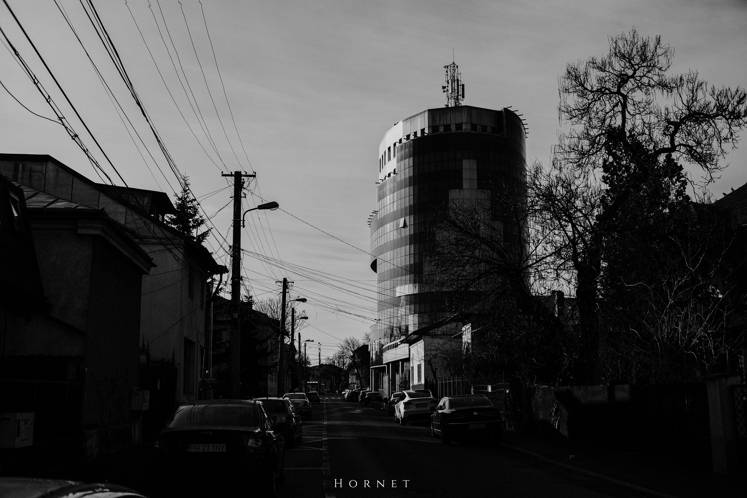 12.01.2025 Ploiesti | Romania. Hornetart