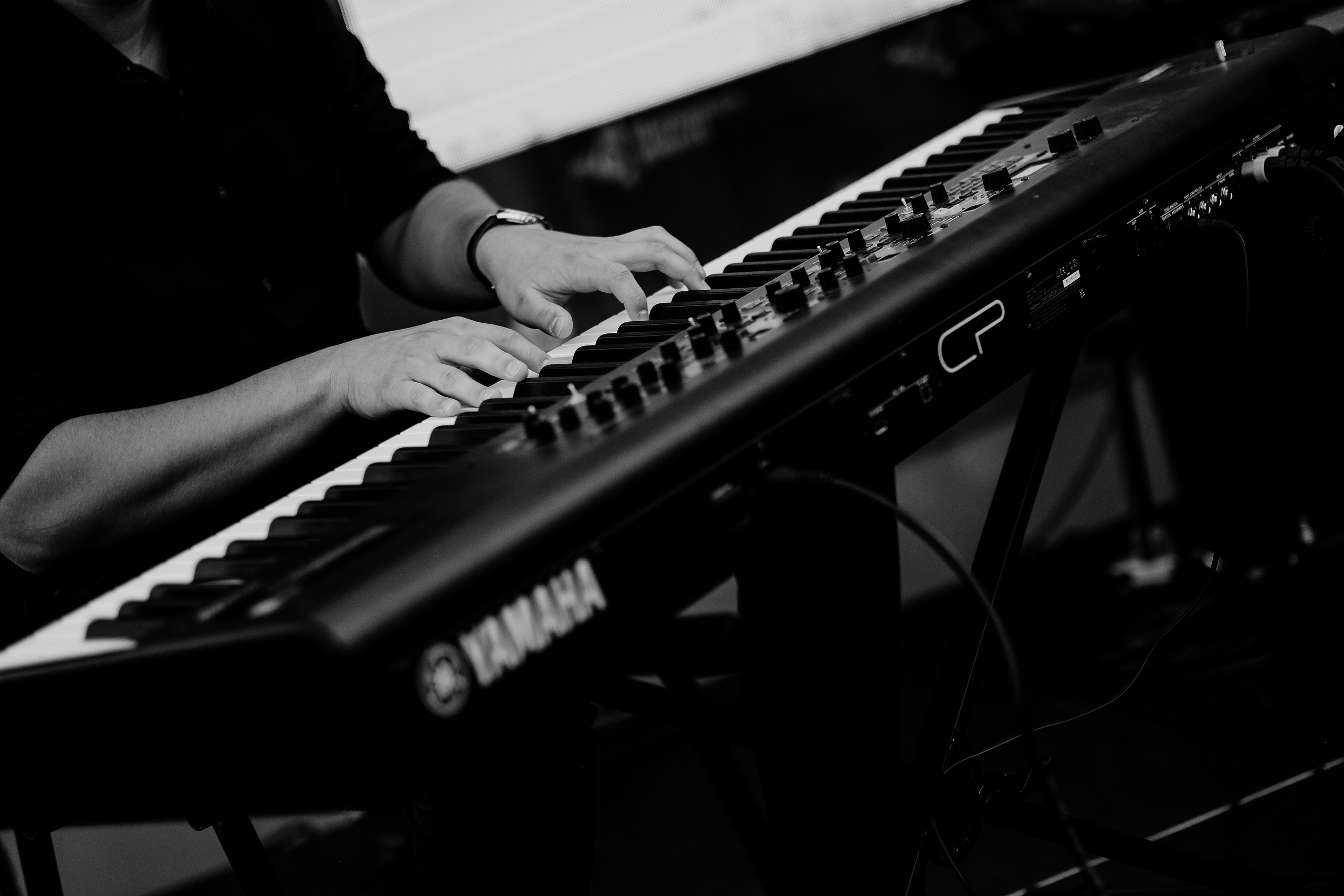 David Luca Trio. Hornetart