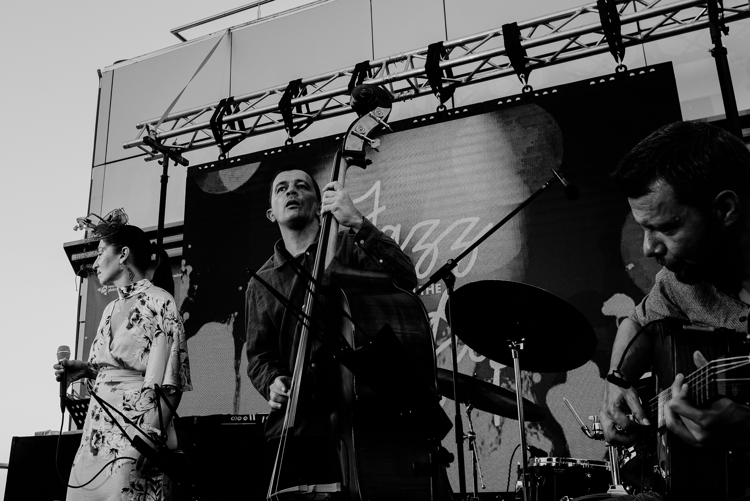 Luiza Zan & Jazzpar Trio. Hornetart