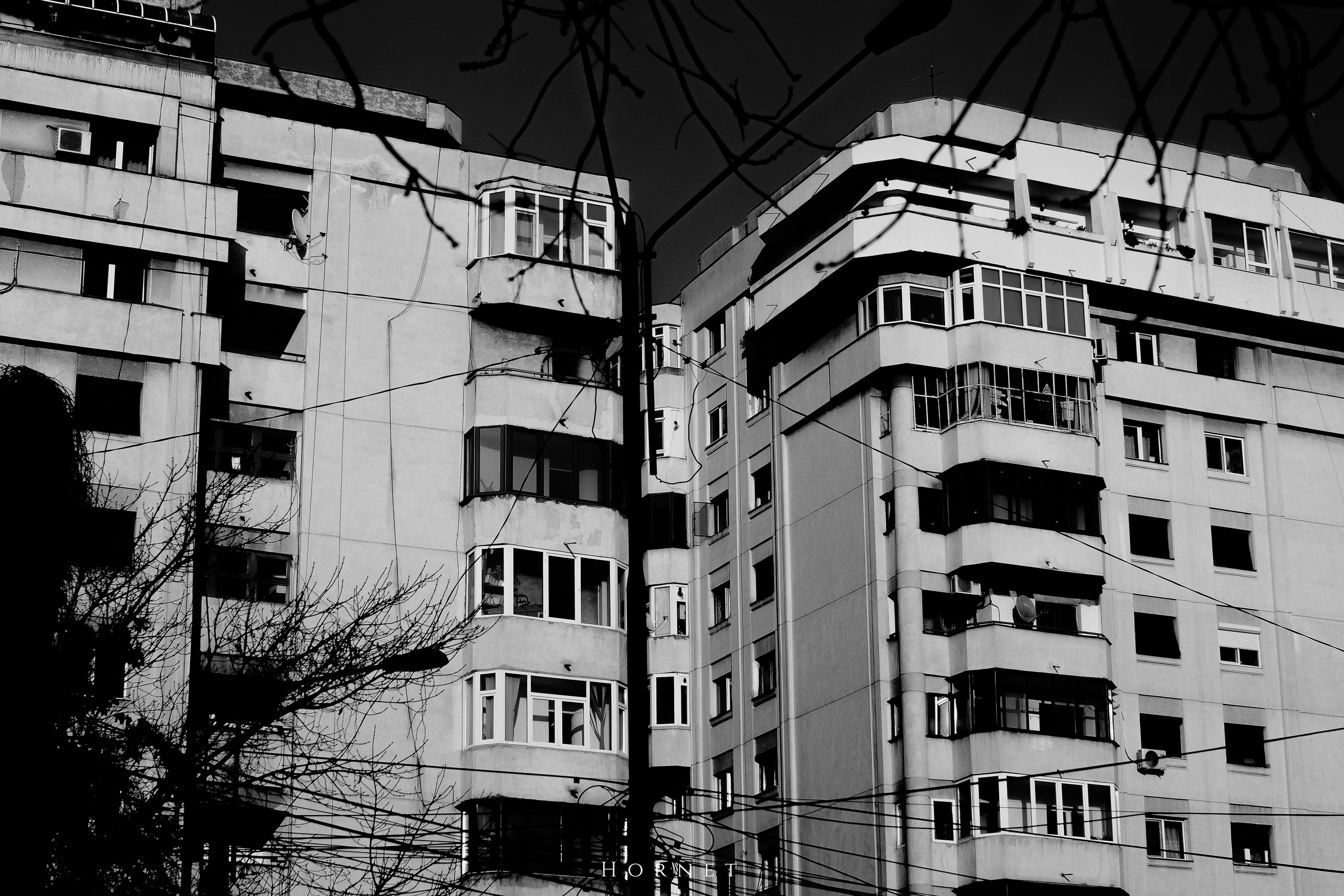 7.02.2025 Ploiesti | Romania. Hornetart