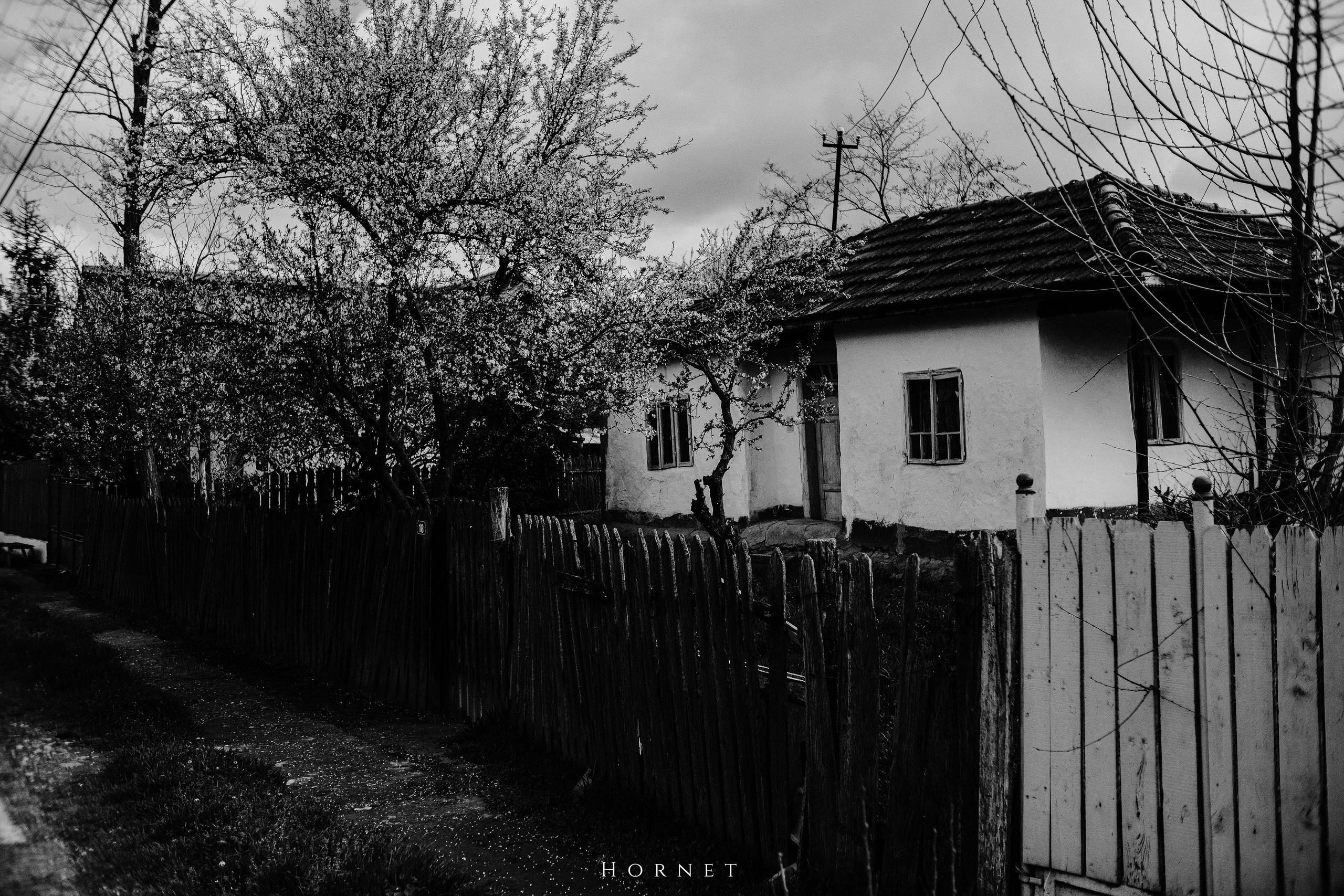 30.03.2025 Buzau | Romania. Hornetart
