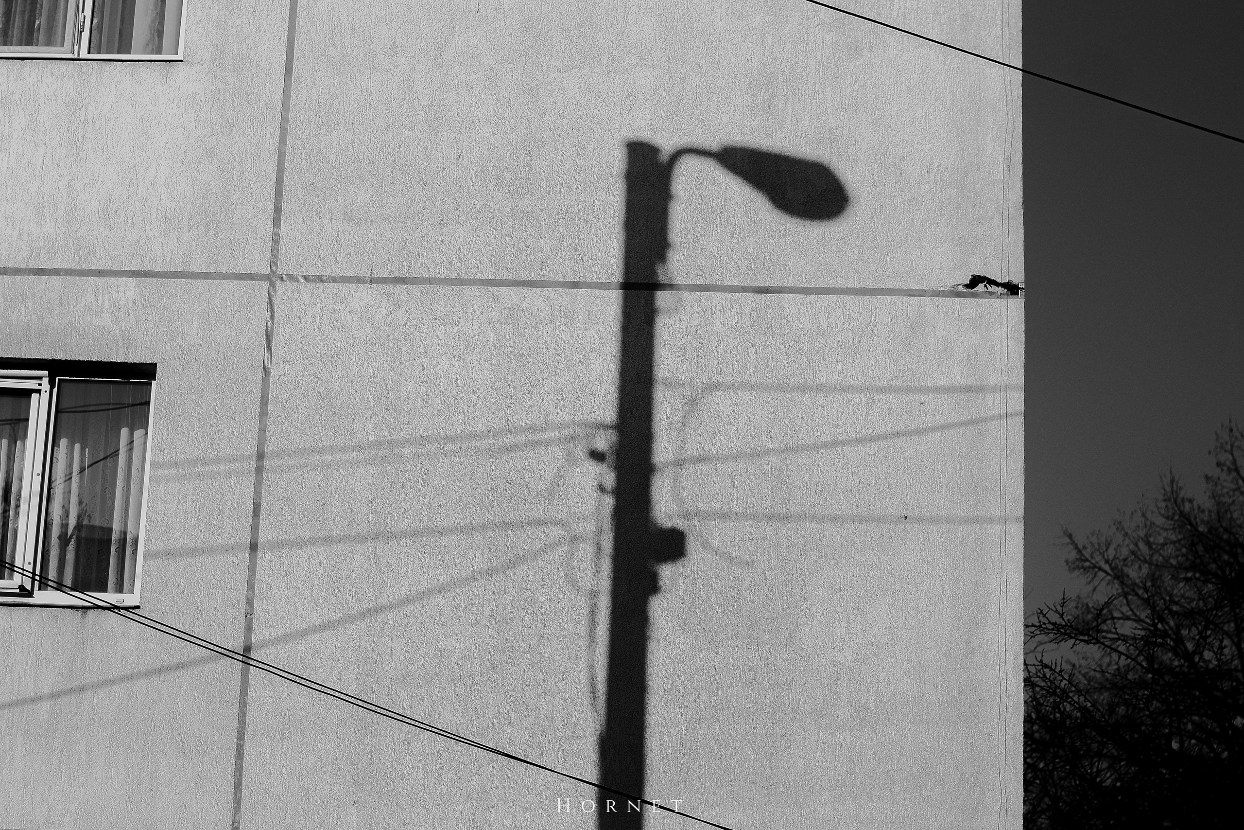 7.02.2025 Ploiesti | Romania. Hornetart