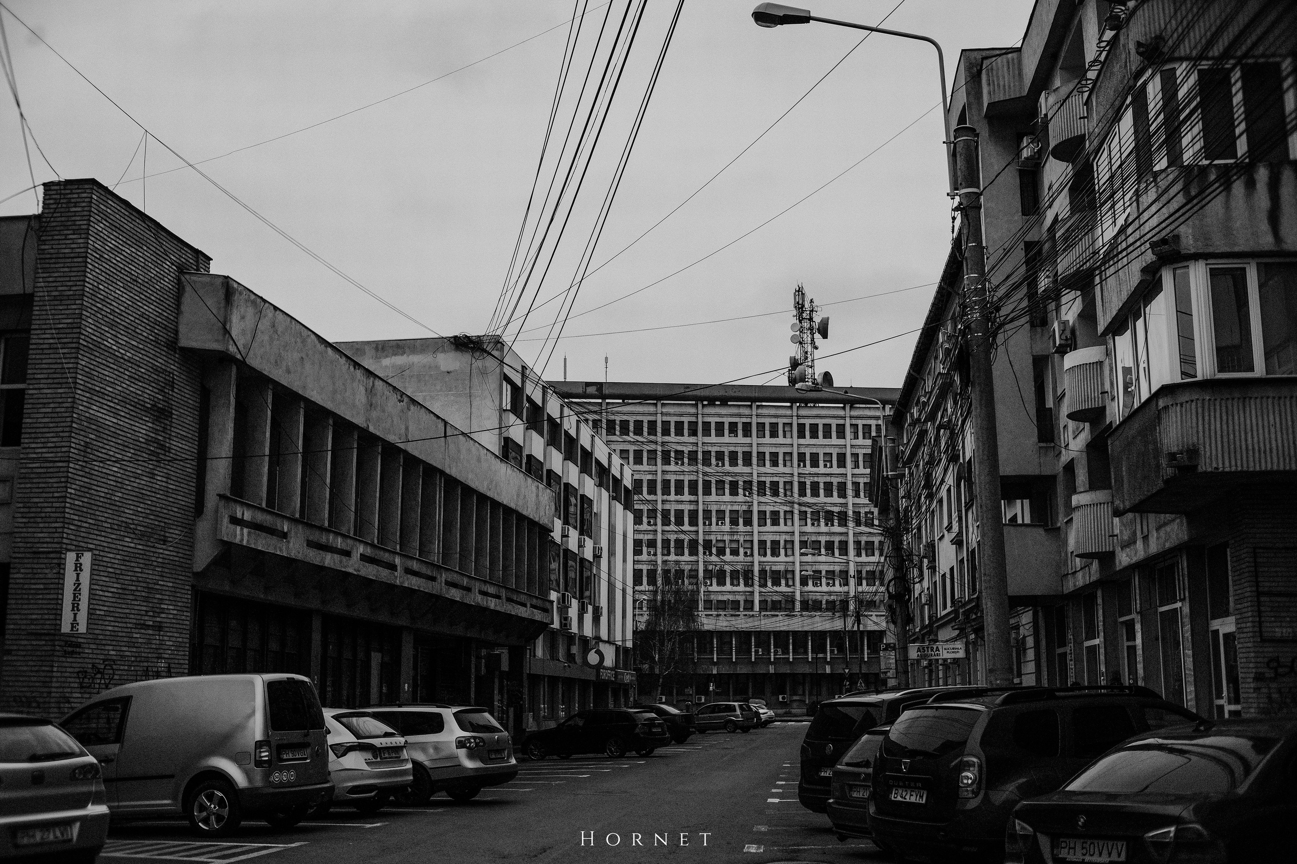 29.03.2025 Ploiesti | Romania. Hornetart