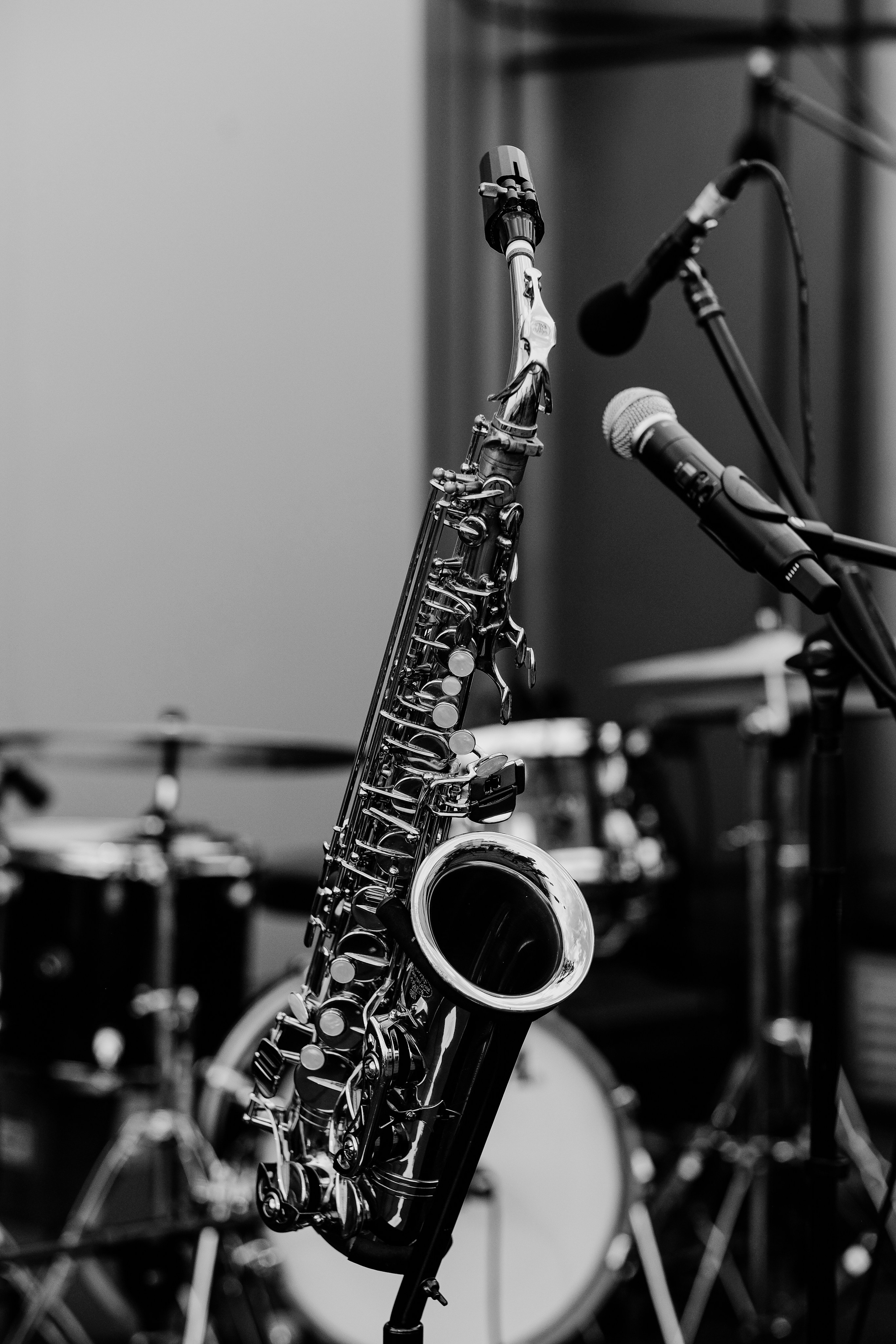 David Luca Trio. Hornetart