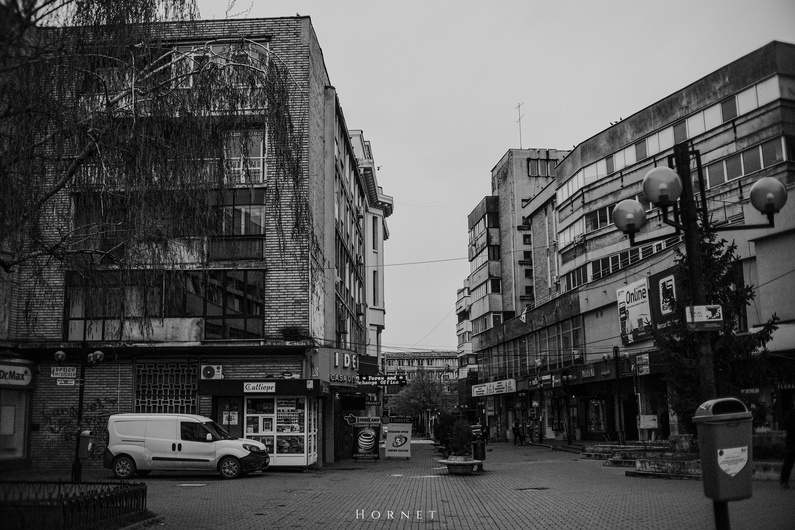 29.03.2025 Ploiesti | Romania. Hornetart