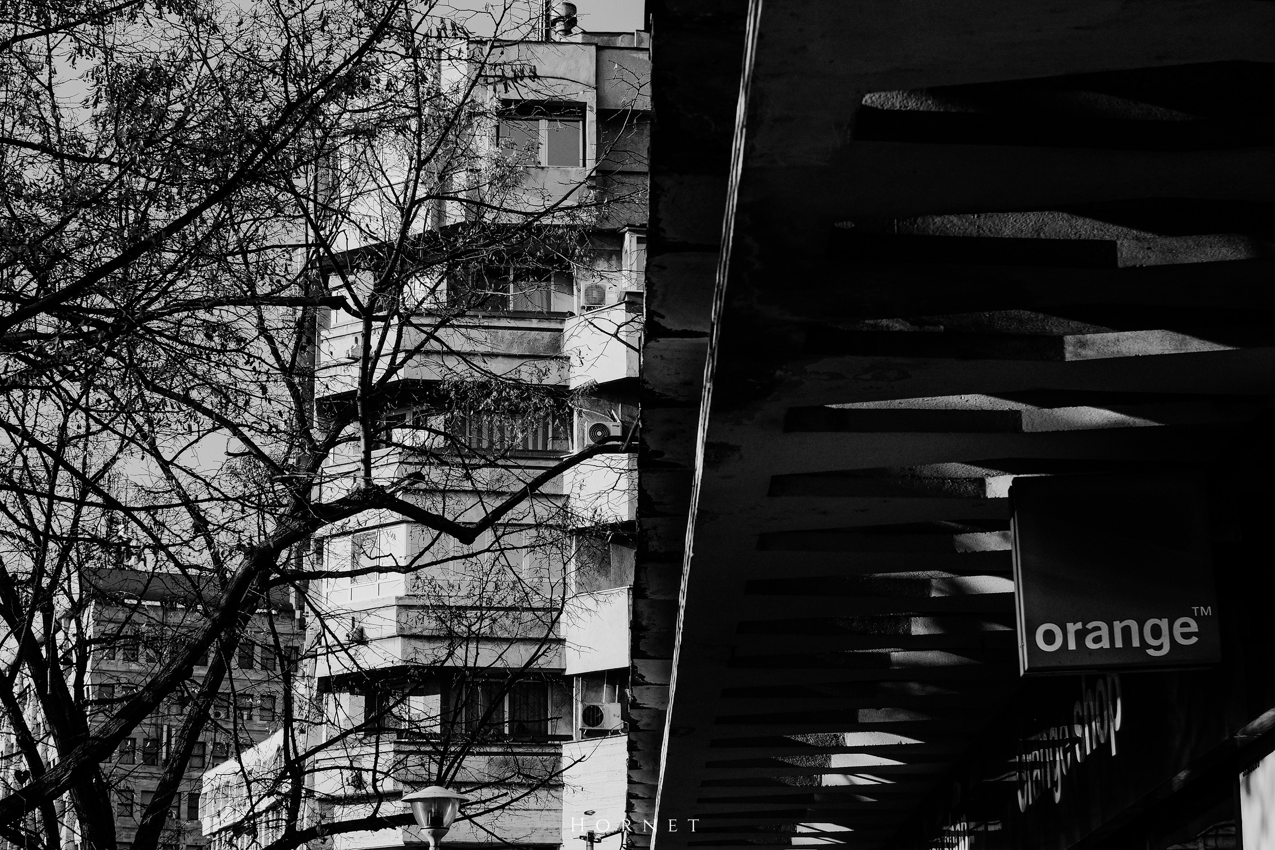 7.02.2025 Ploiesti | Romania. Hornetart