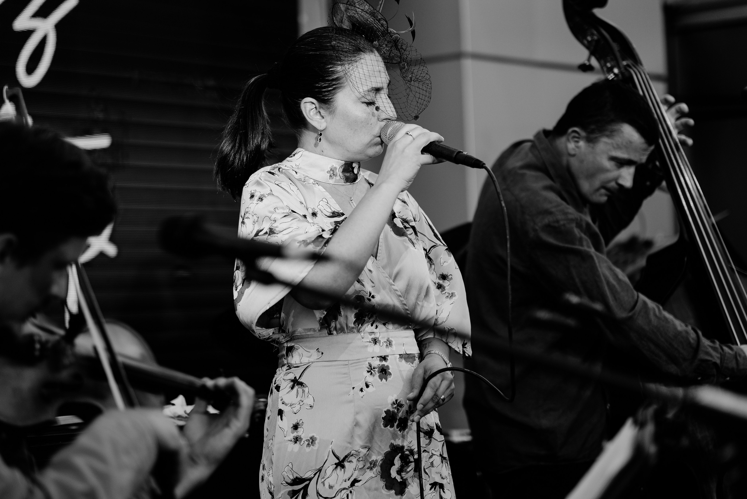 Luiza Zan & Jazzpar Trio. Hornetart