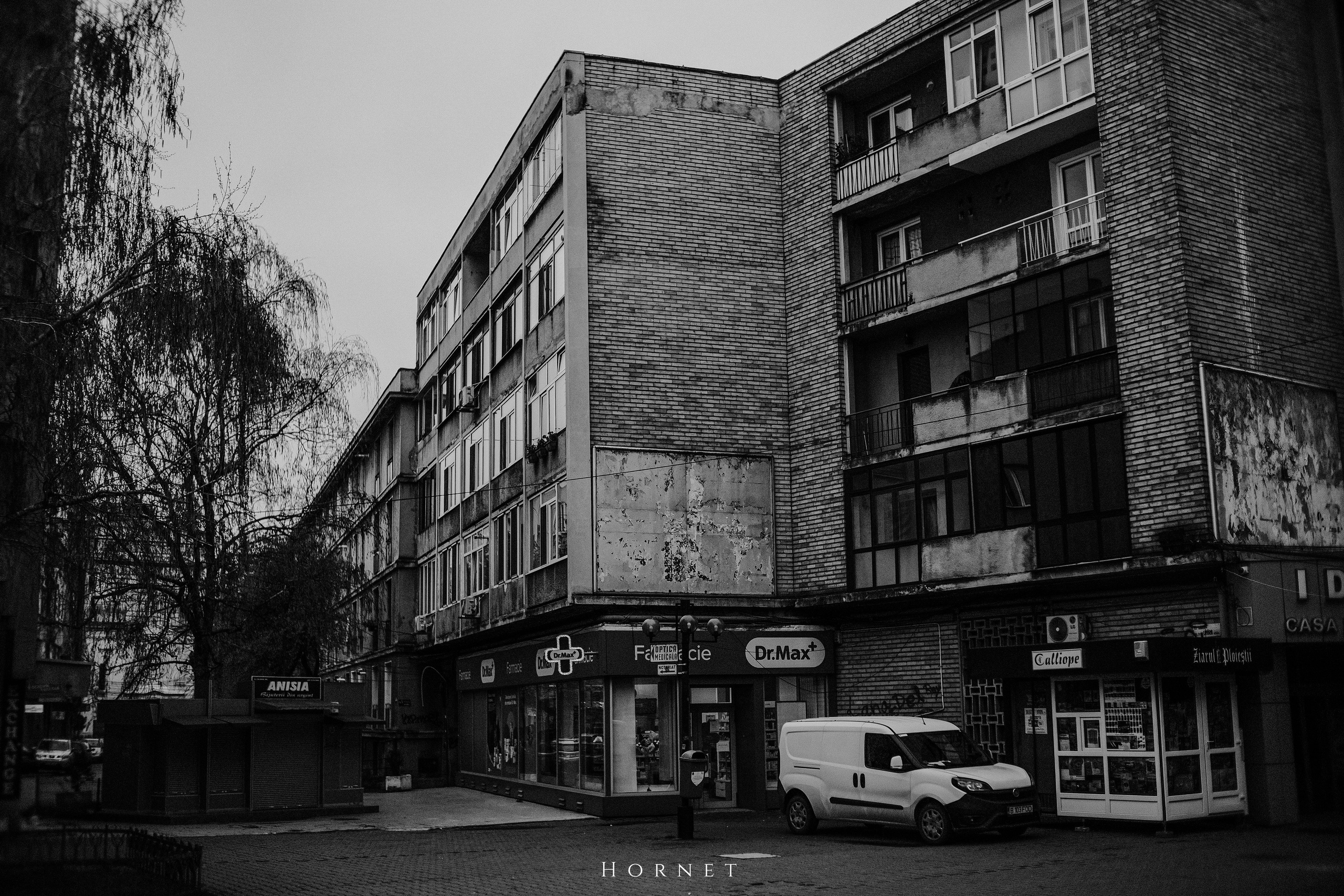29.03.2025 Ploiesti | Romania. Hornetart