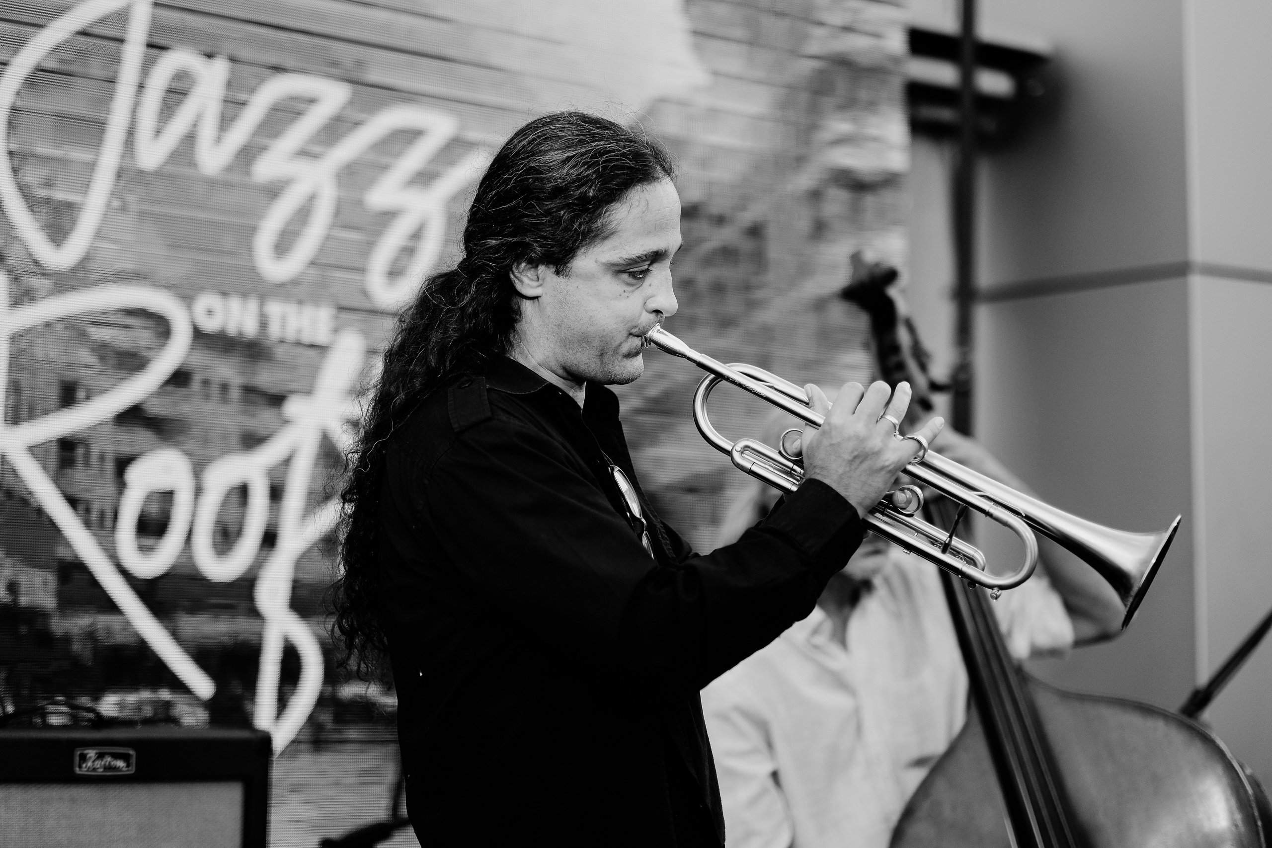 David Luca Trio. Hornetart