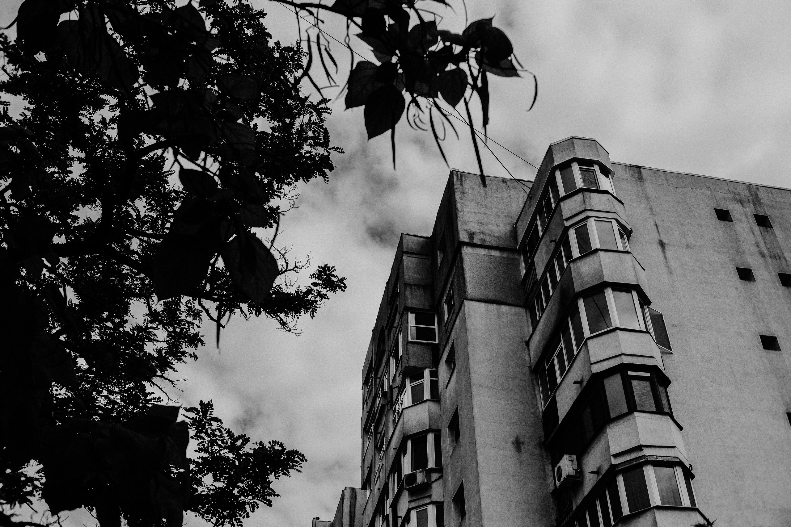 10.05.2025 Ploiesti | Romania. Hornetart