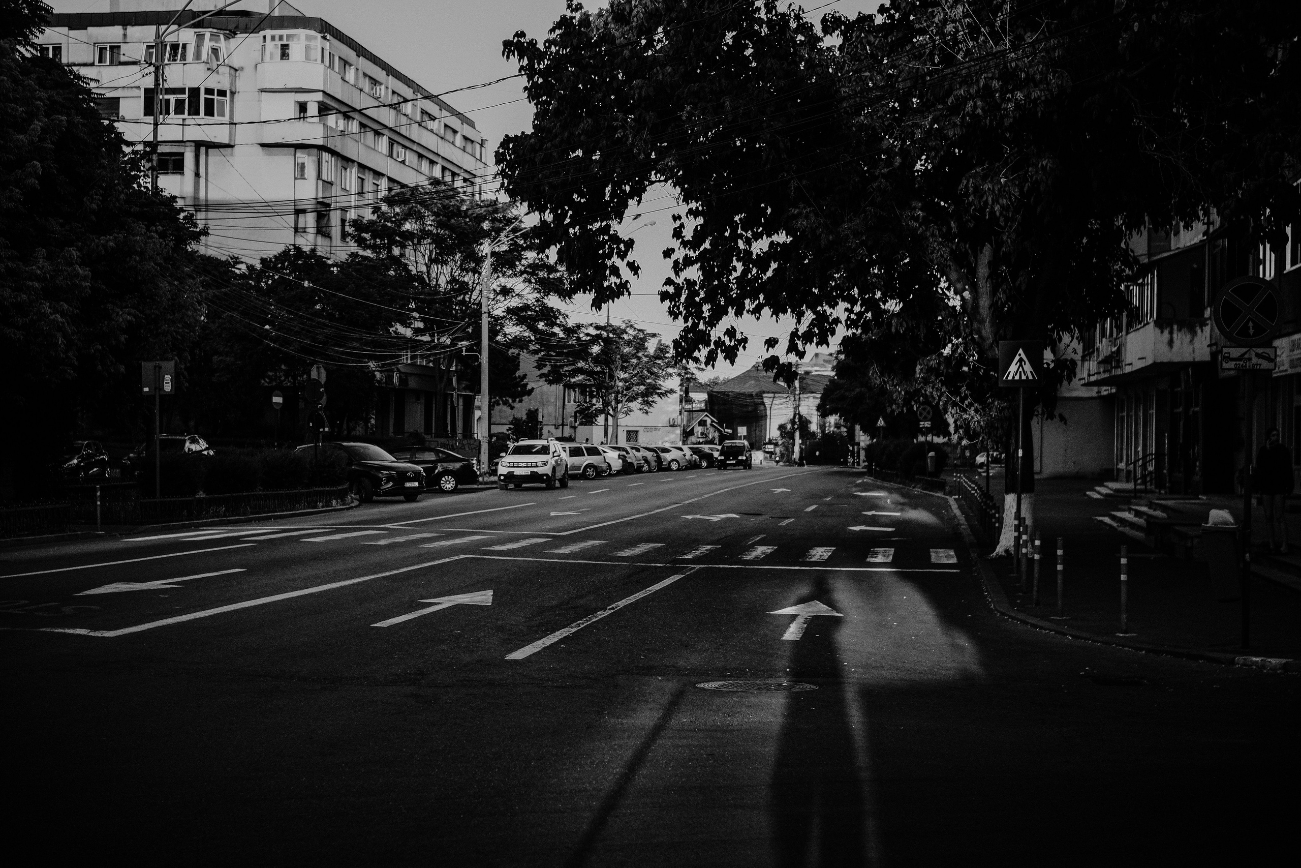 21.06.2025 Ploiesti | Romania. Hornetart