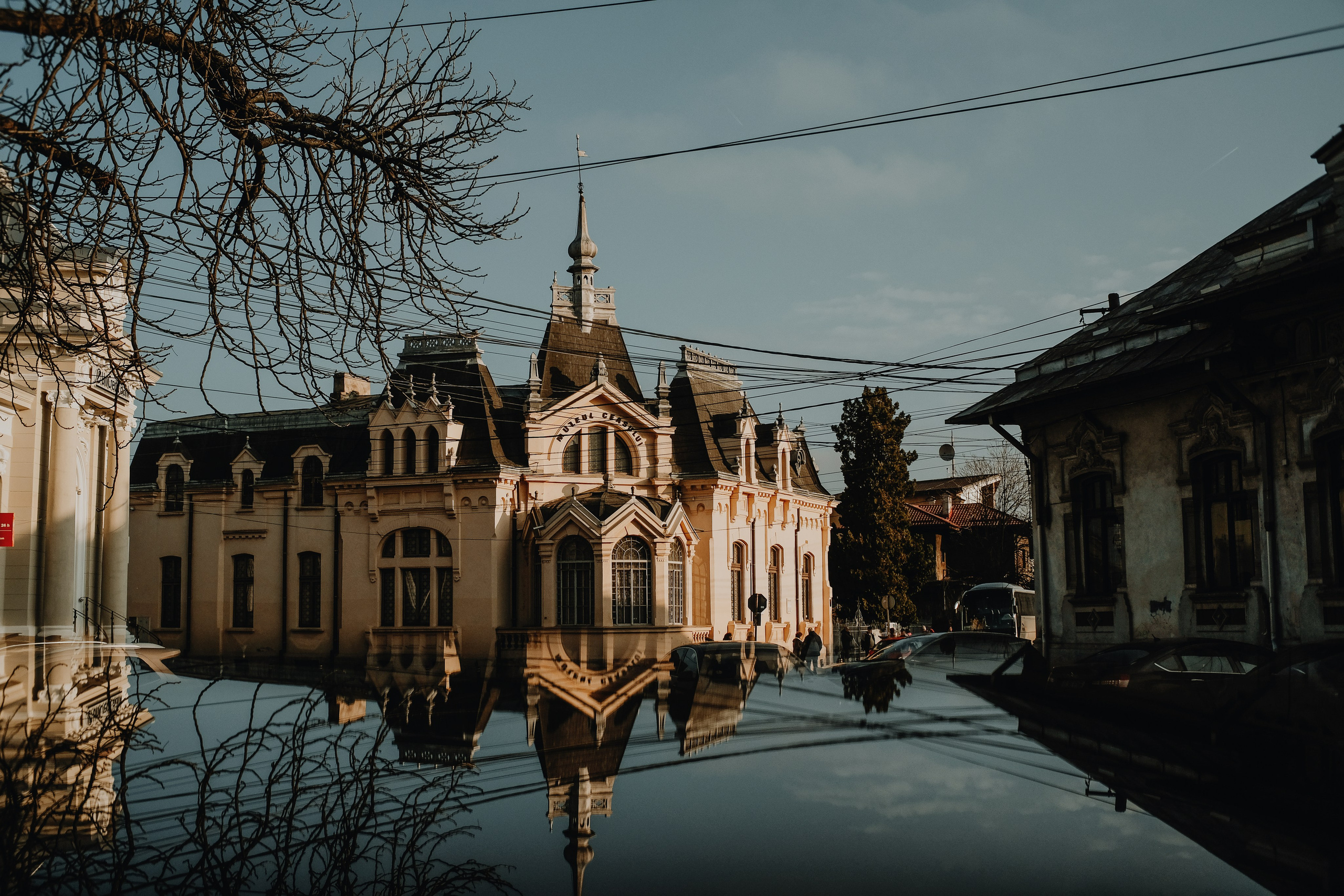 22.11.2025 Ploiesti | Romania. Hornetart