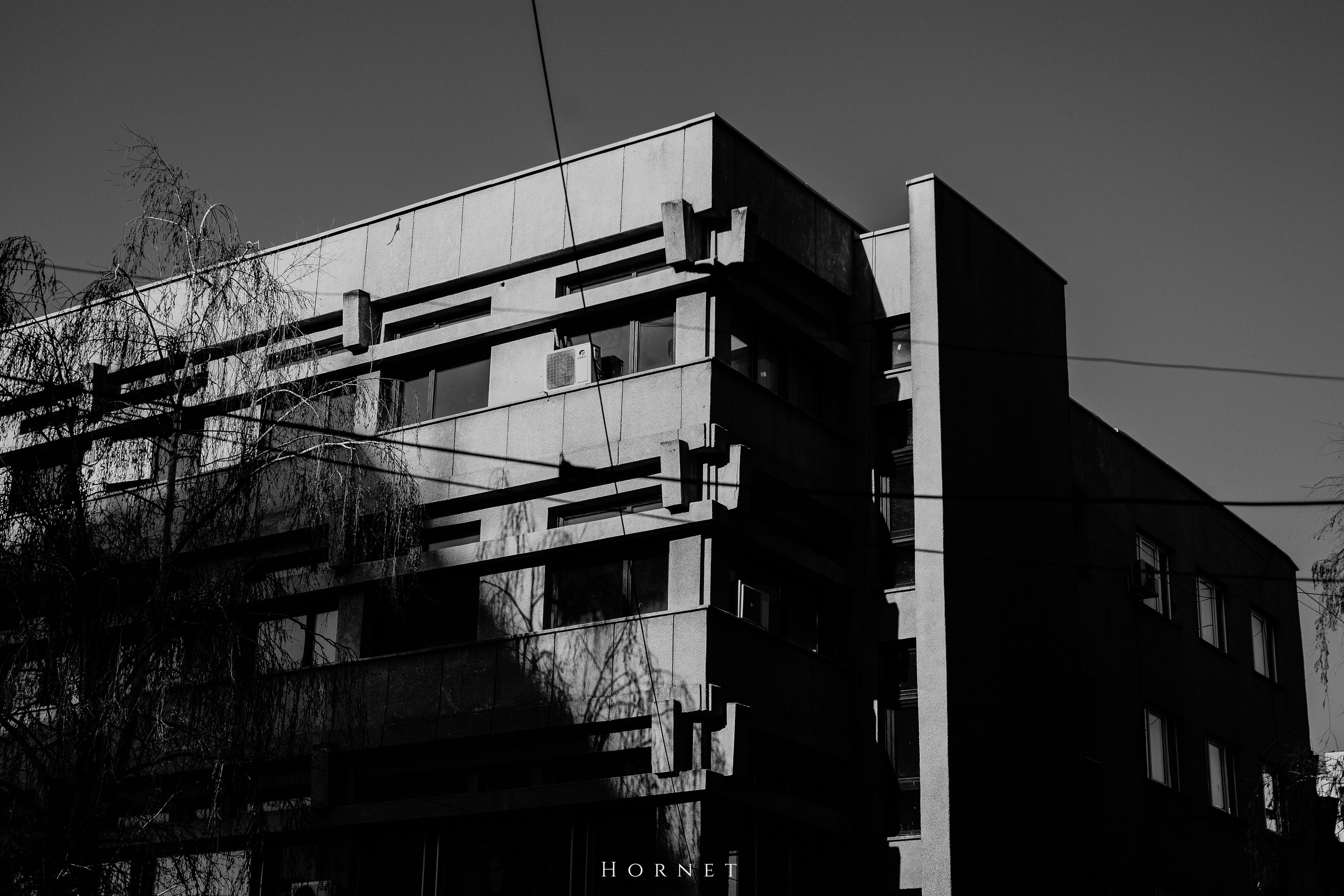 14.03.2026 Ploiesti | Romania. Hornetart