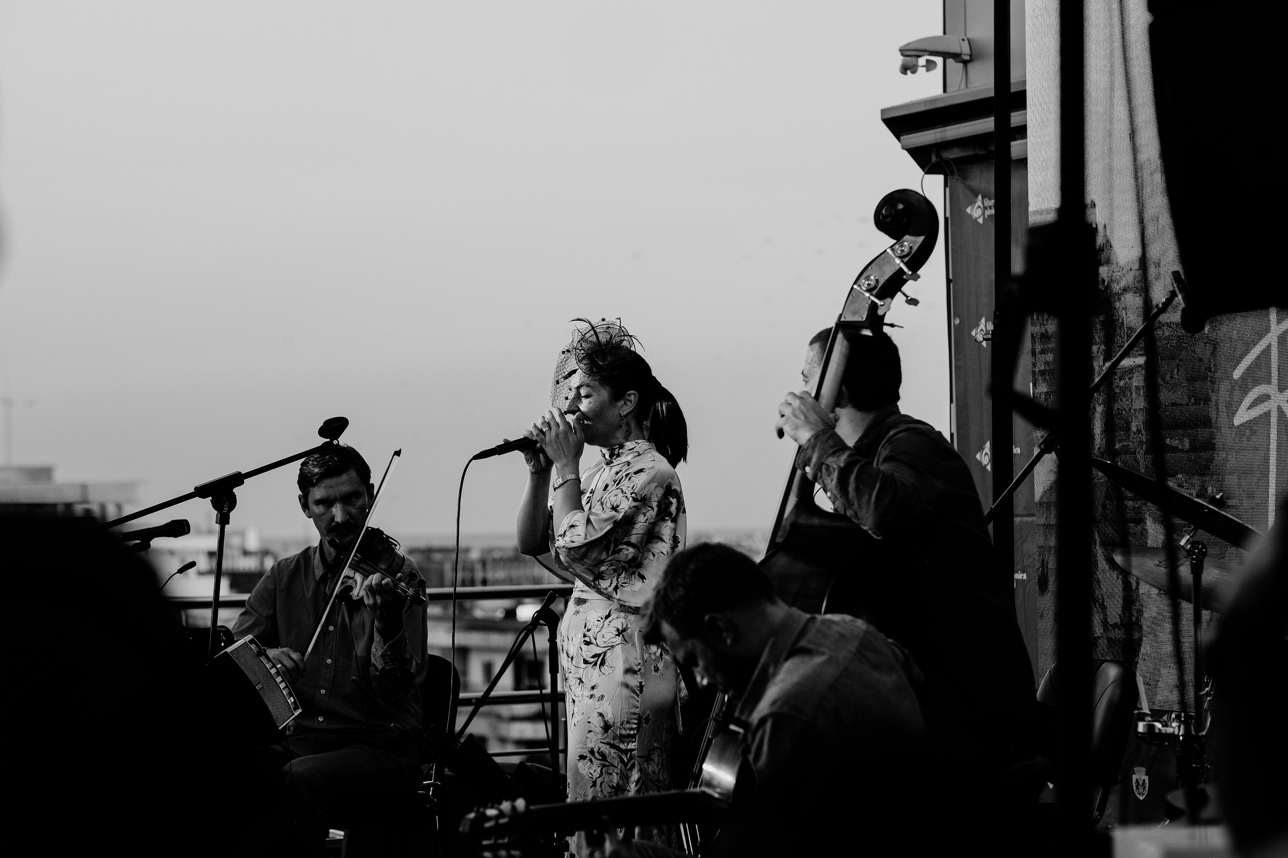 Luiza Zan & Jazzpar Trio. Hornetart
