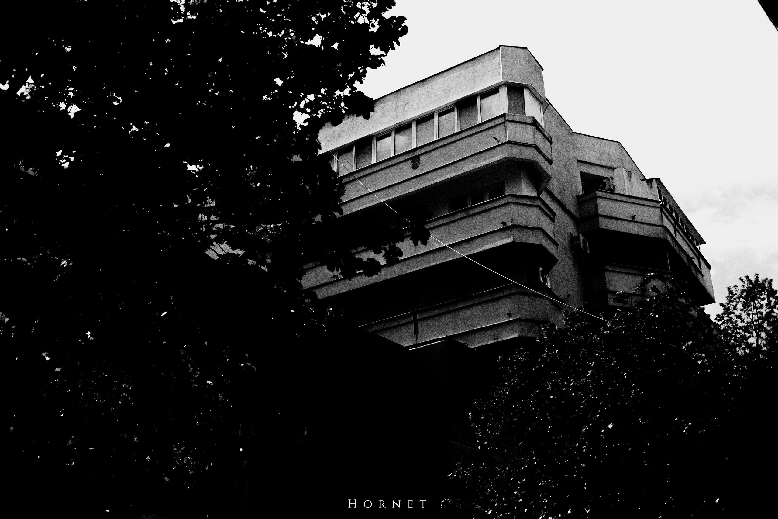 21.04.2025 Ploiesti | Romania. Hornetart