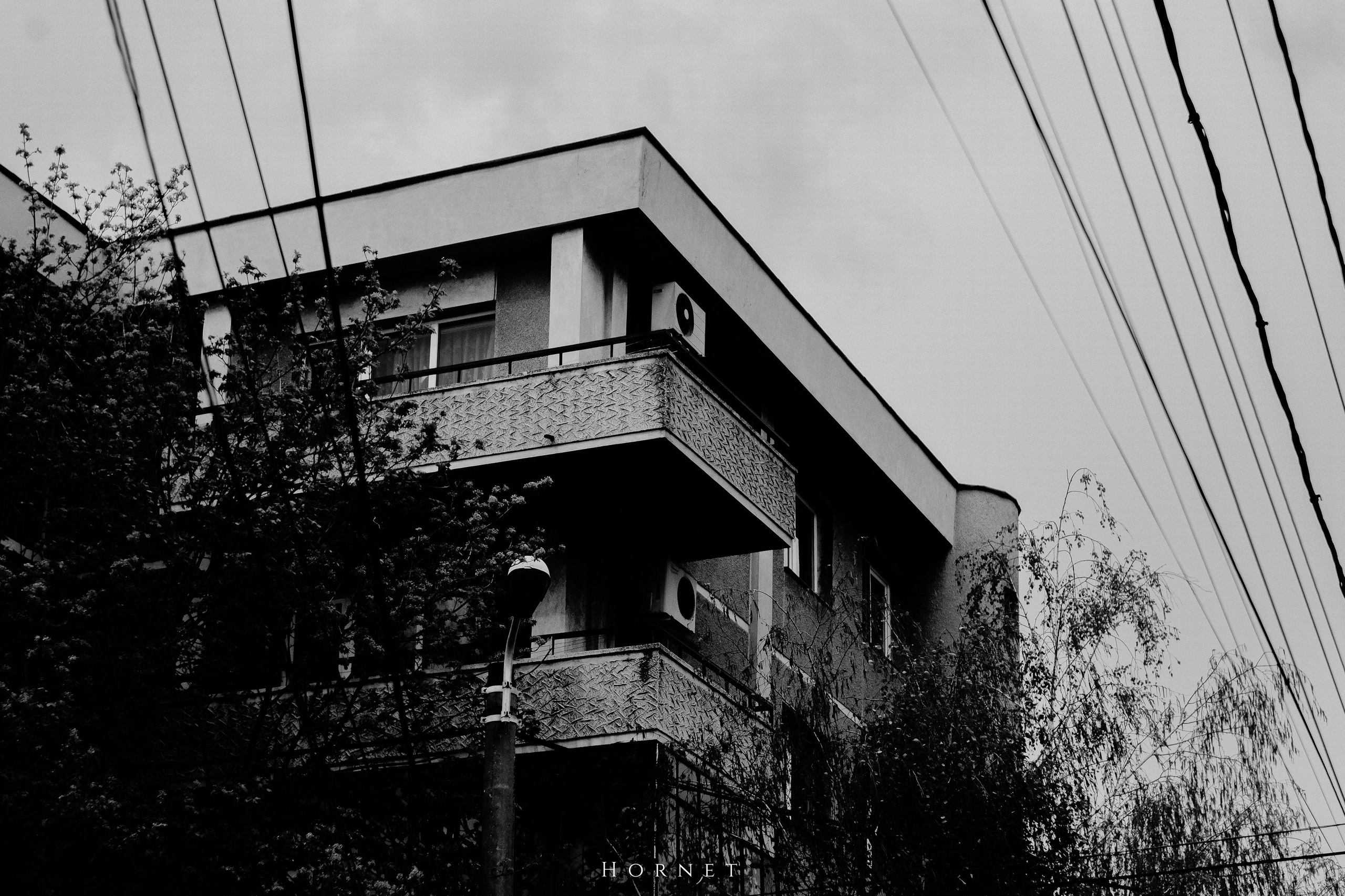 5.04.2025 Ploiesti | Romania. Hornetart