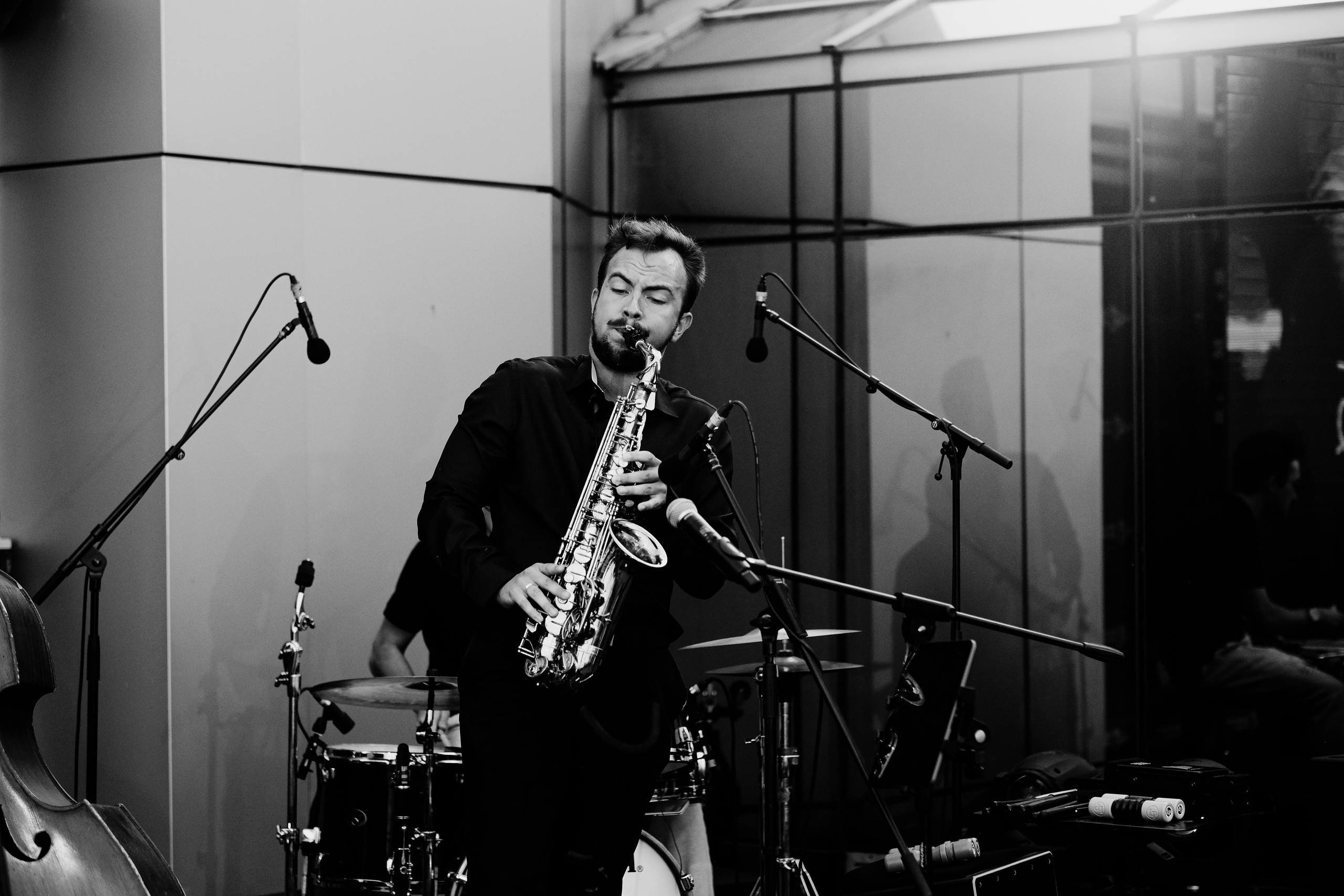 David Luca Trio. Hornetart