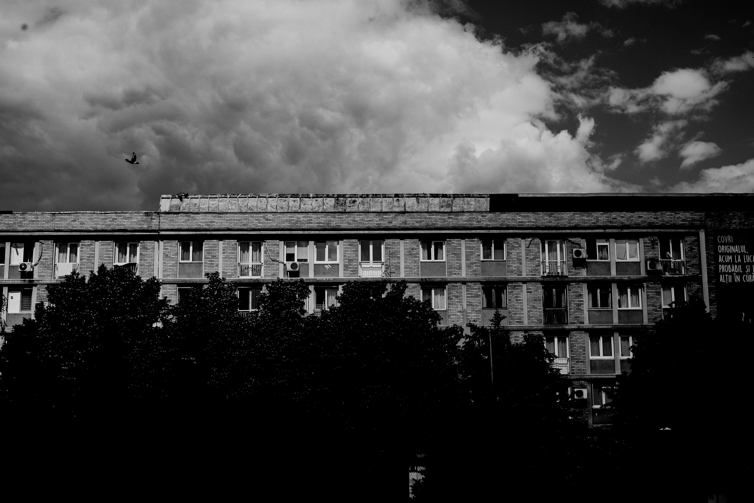21.06.2025 Ploiesti | Romania. Hornetart
