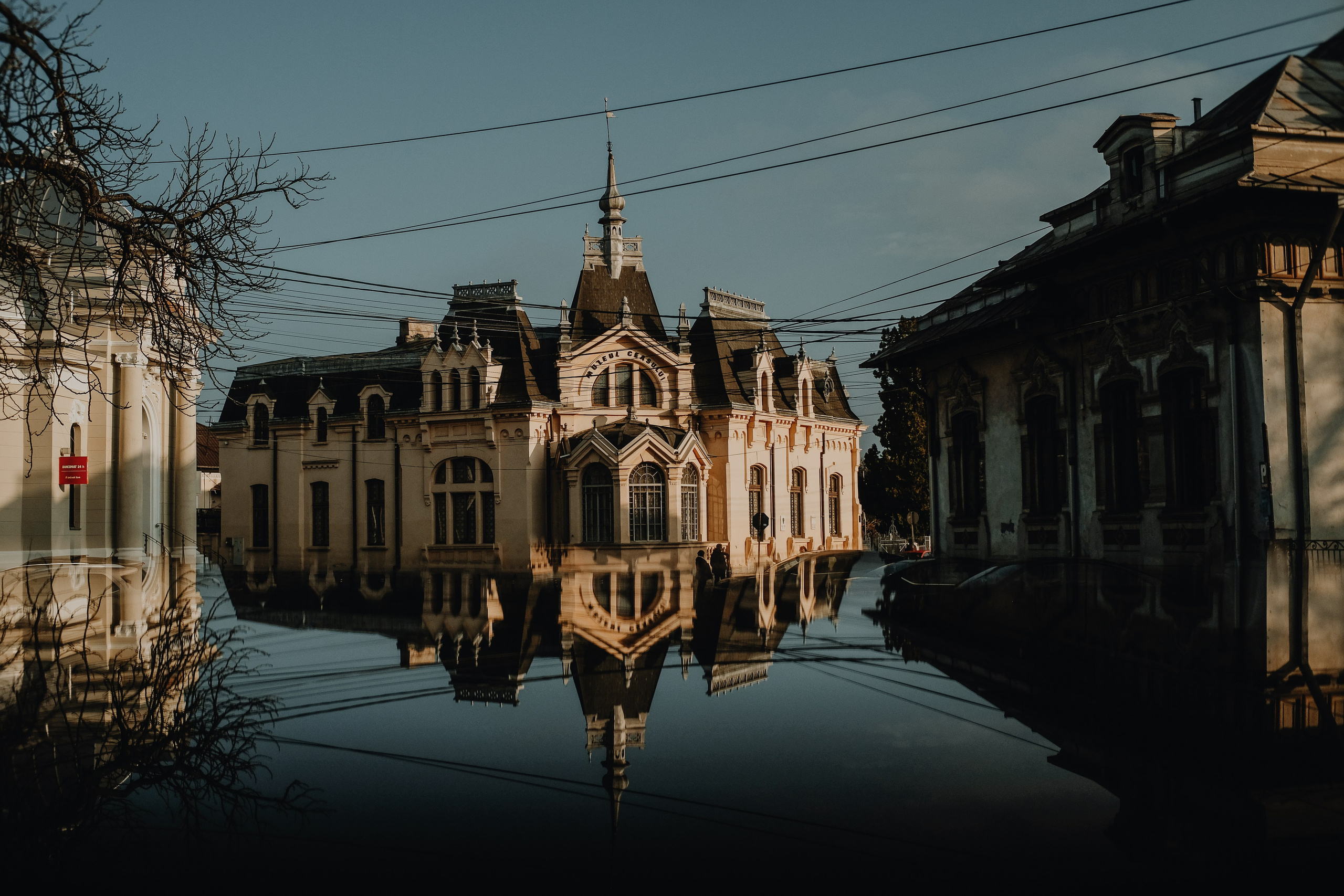 22.11.2025 Ploiesti | Romania. Hornetart