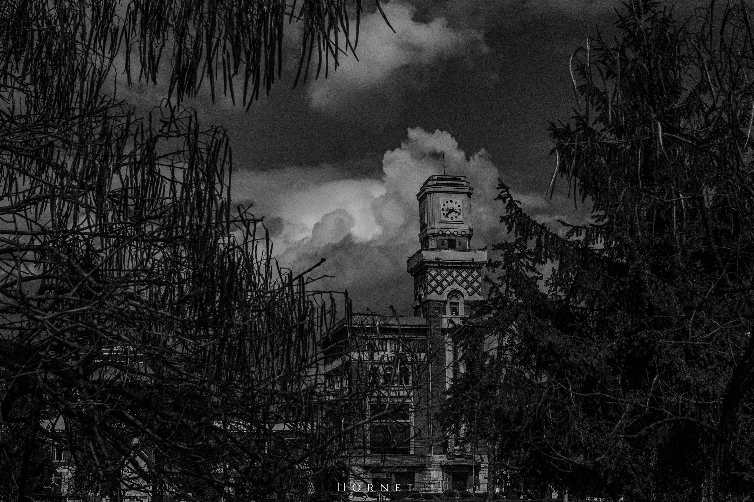 12.04.2025 Ploiesti | Romania. Hornetart