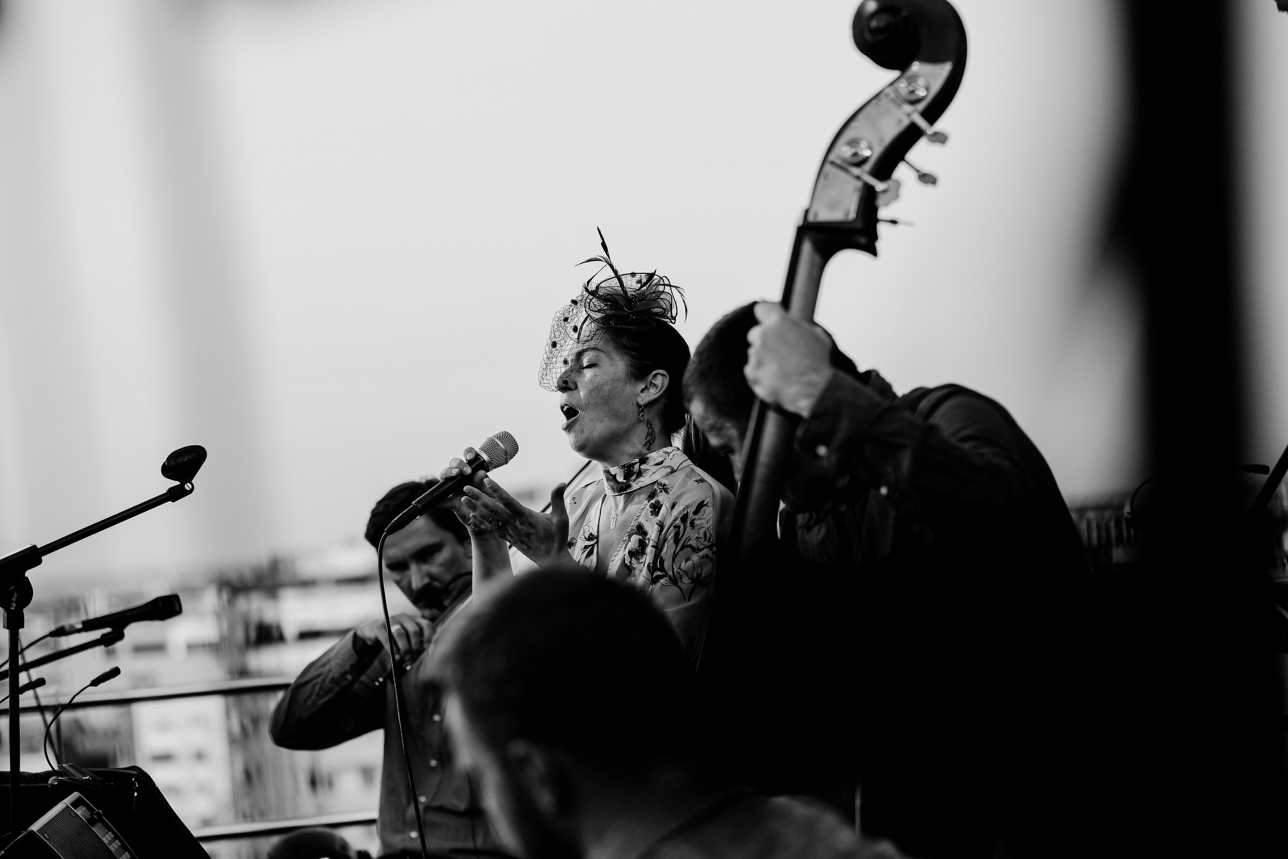 Luiza Zan & Jazzpar Trio. Hornetart