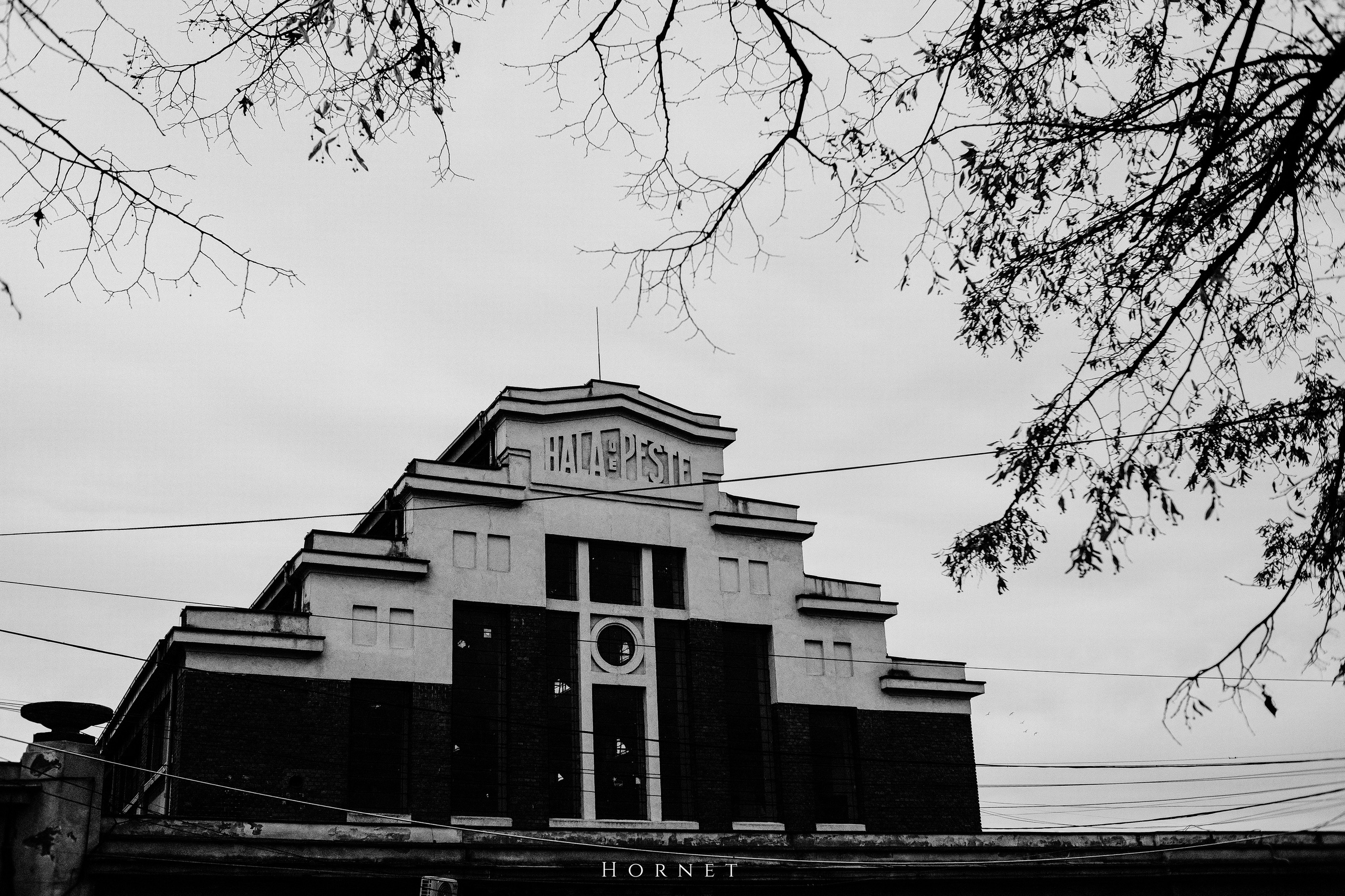 7.01.2025 Ploiesti | Romania. Hornetart