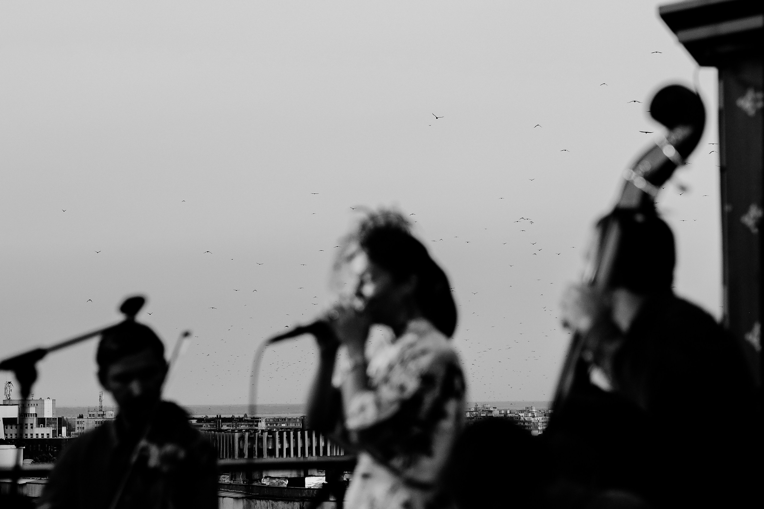 Luiza Zan & Jazzpar Trio. Hornetart