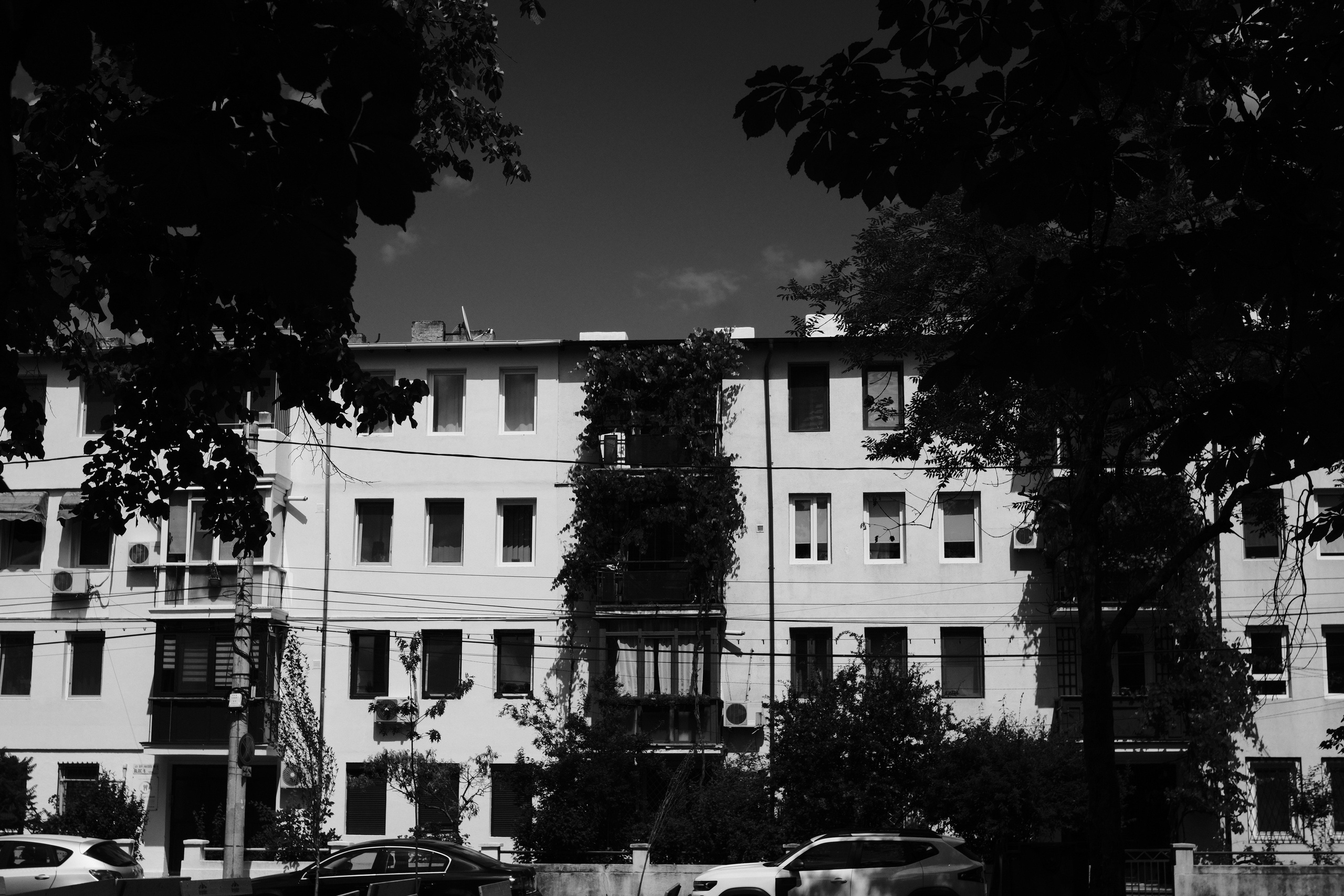 21.06.2025 Ploiesti | Romania. Hornetart