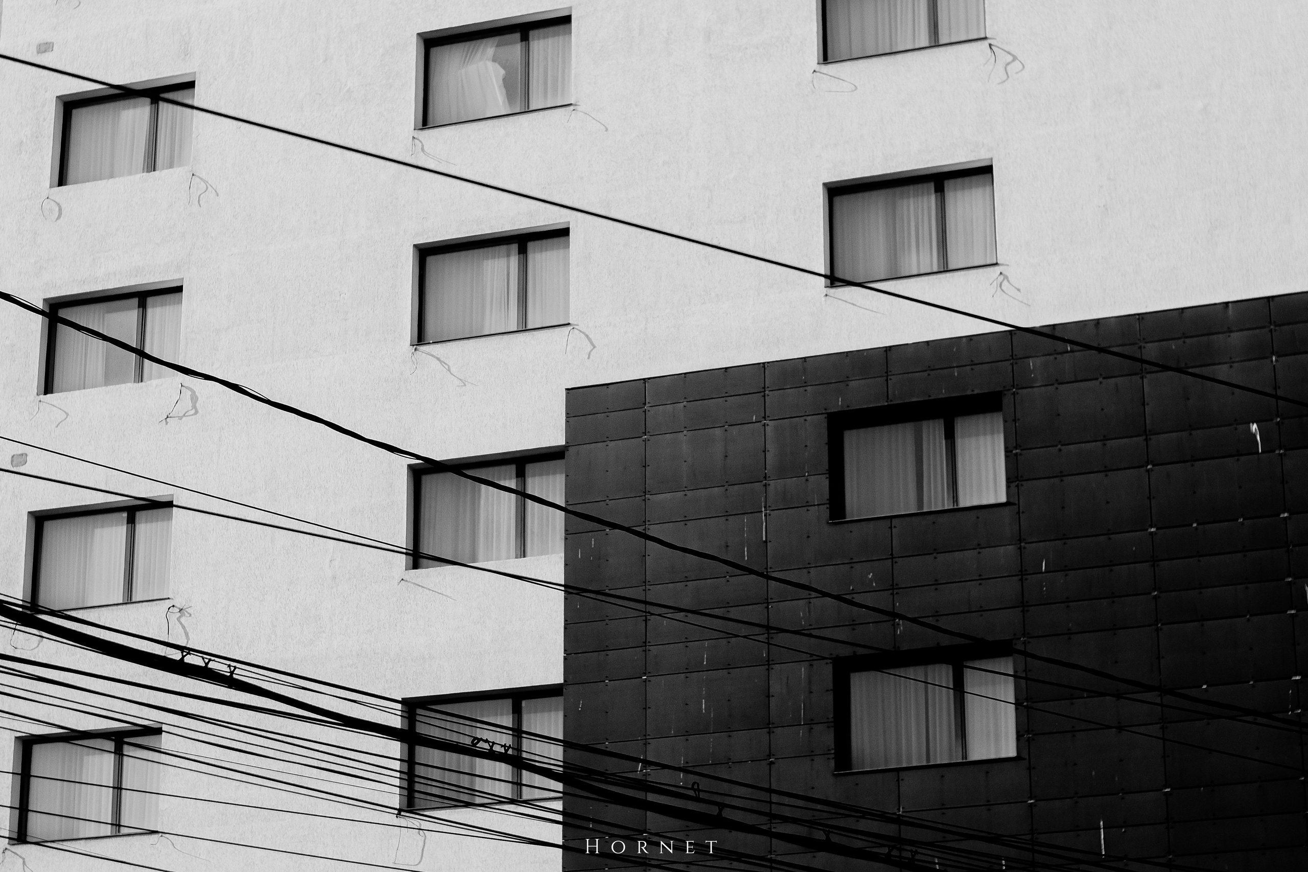 7.02.2025 Ploiesti | Romania. Hornetart