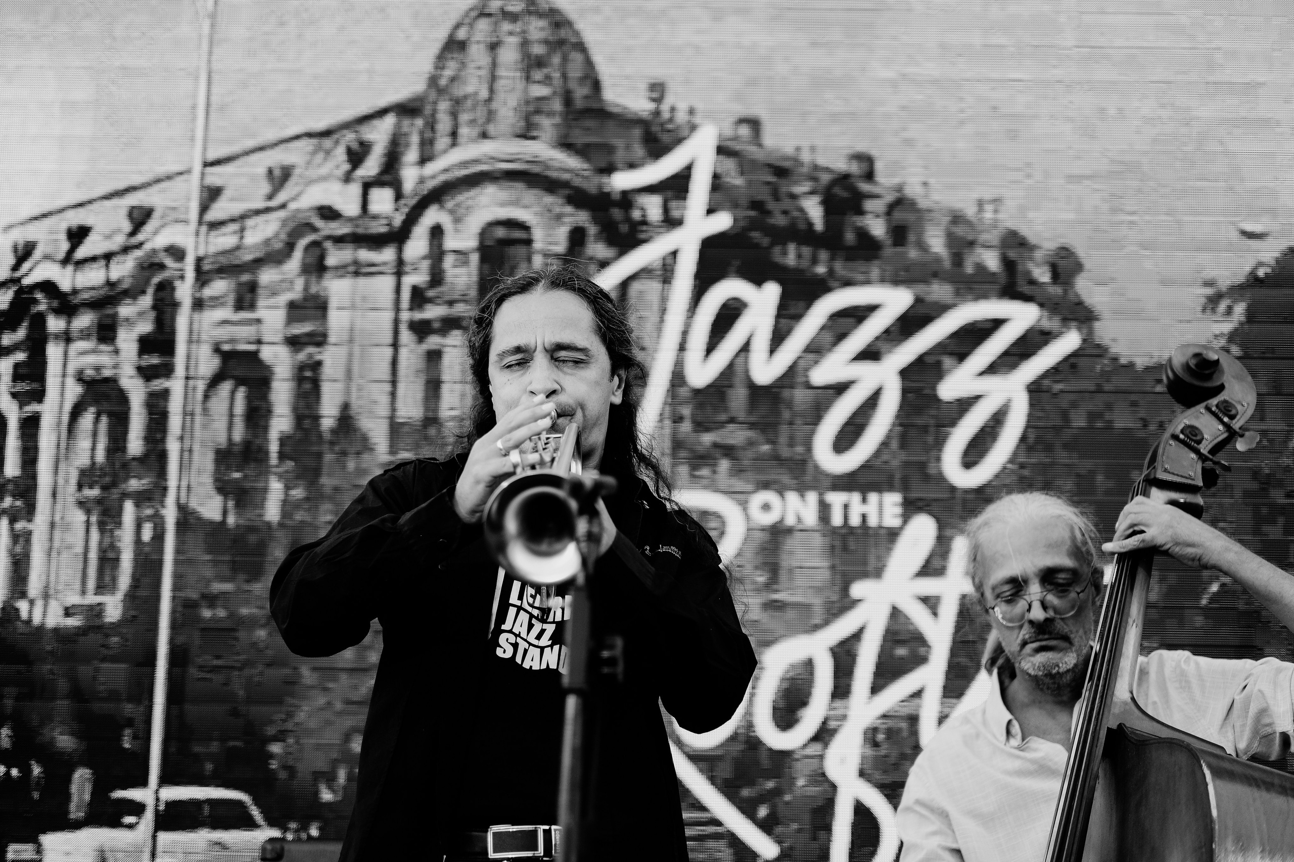David Luca Trio. Hornetart