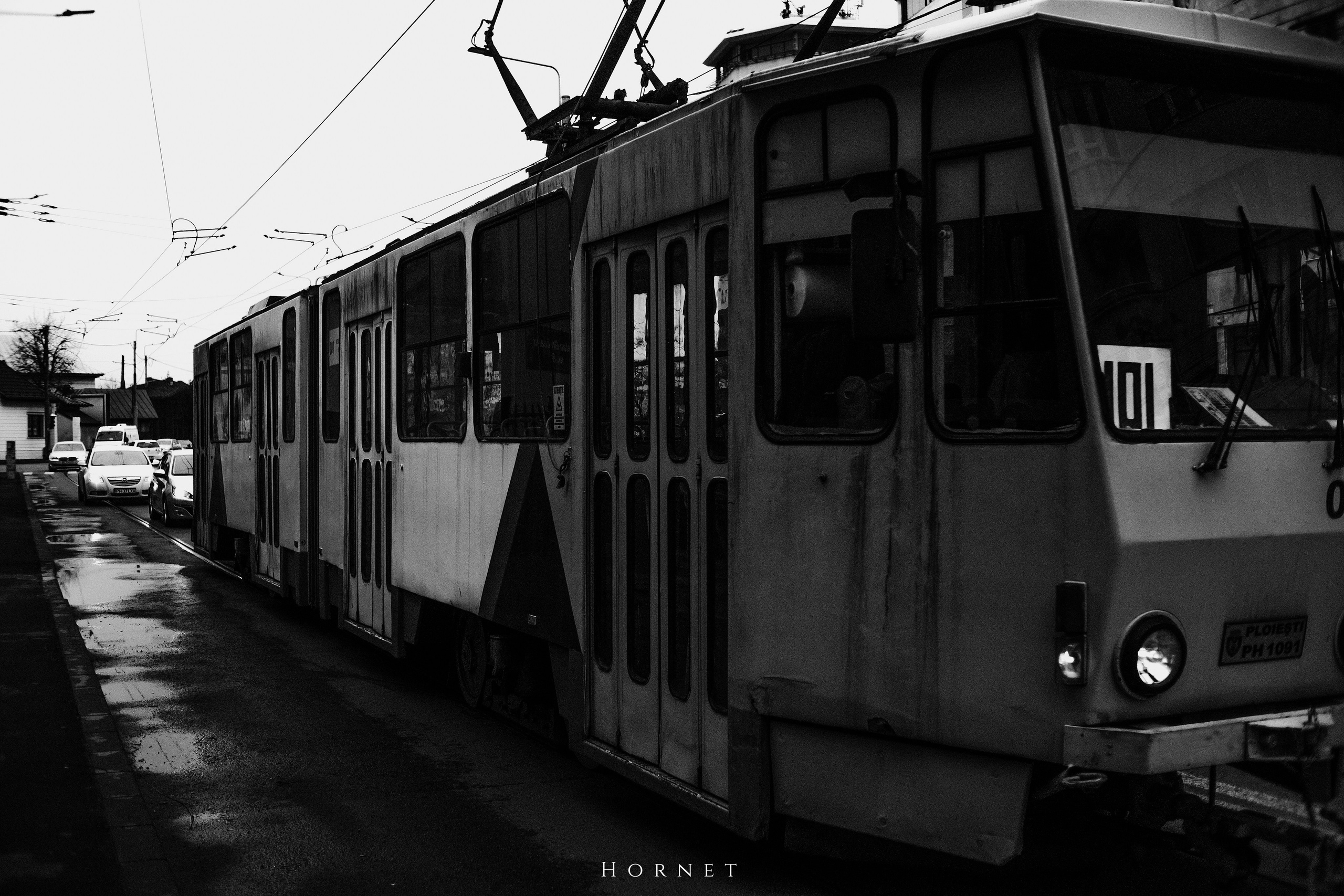 29.03.2025 Ploiesti | Romania. Hornetart