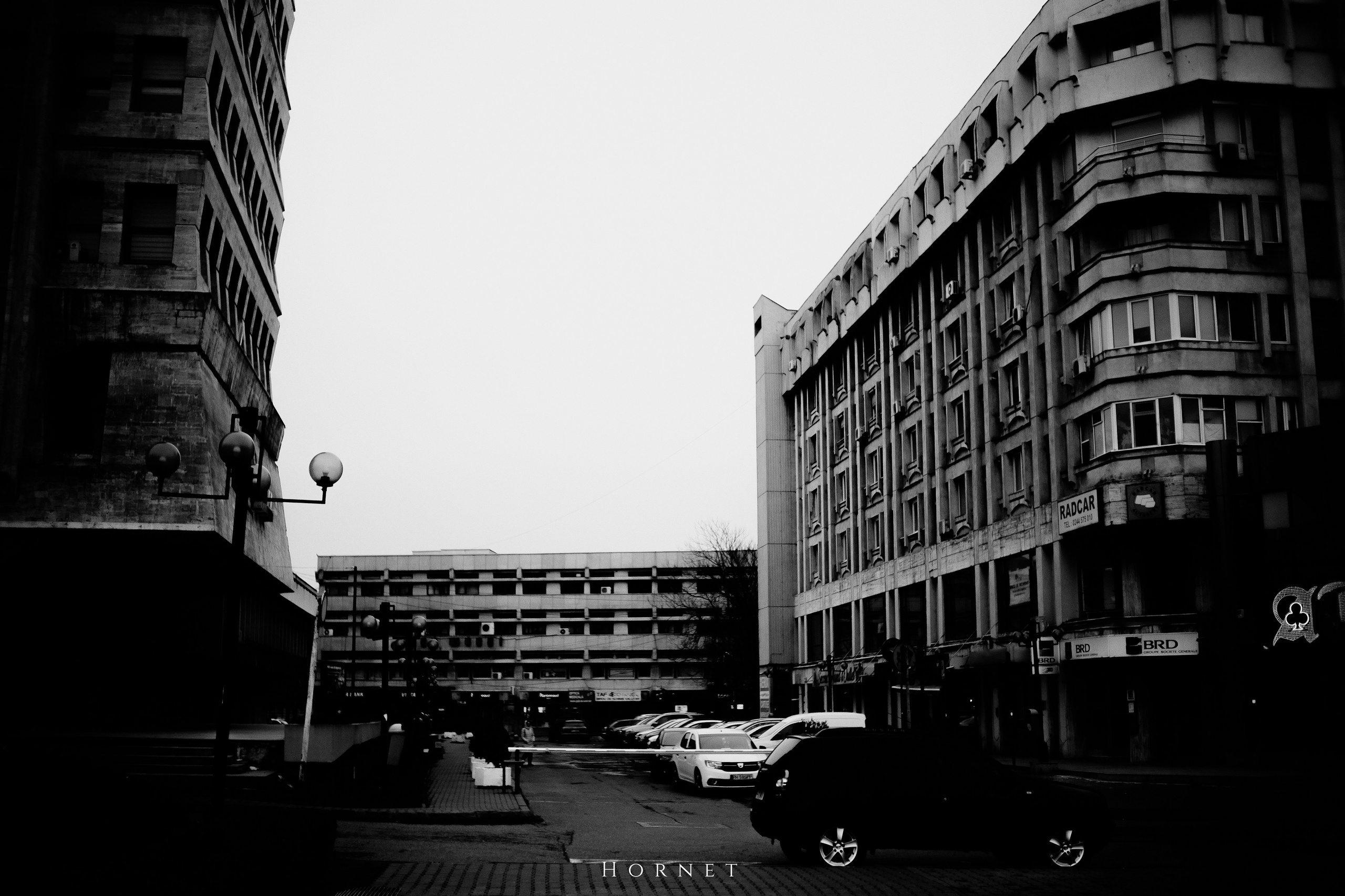 29.03.2025 Ploiesti | Romania. Hornetart